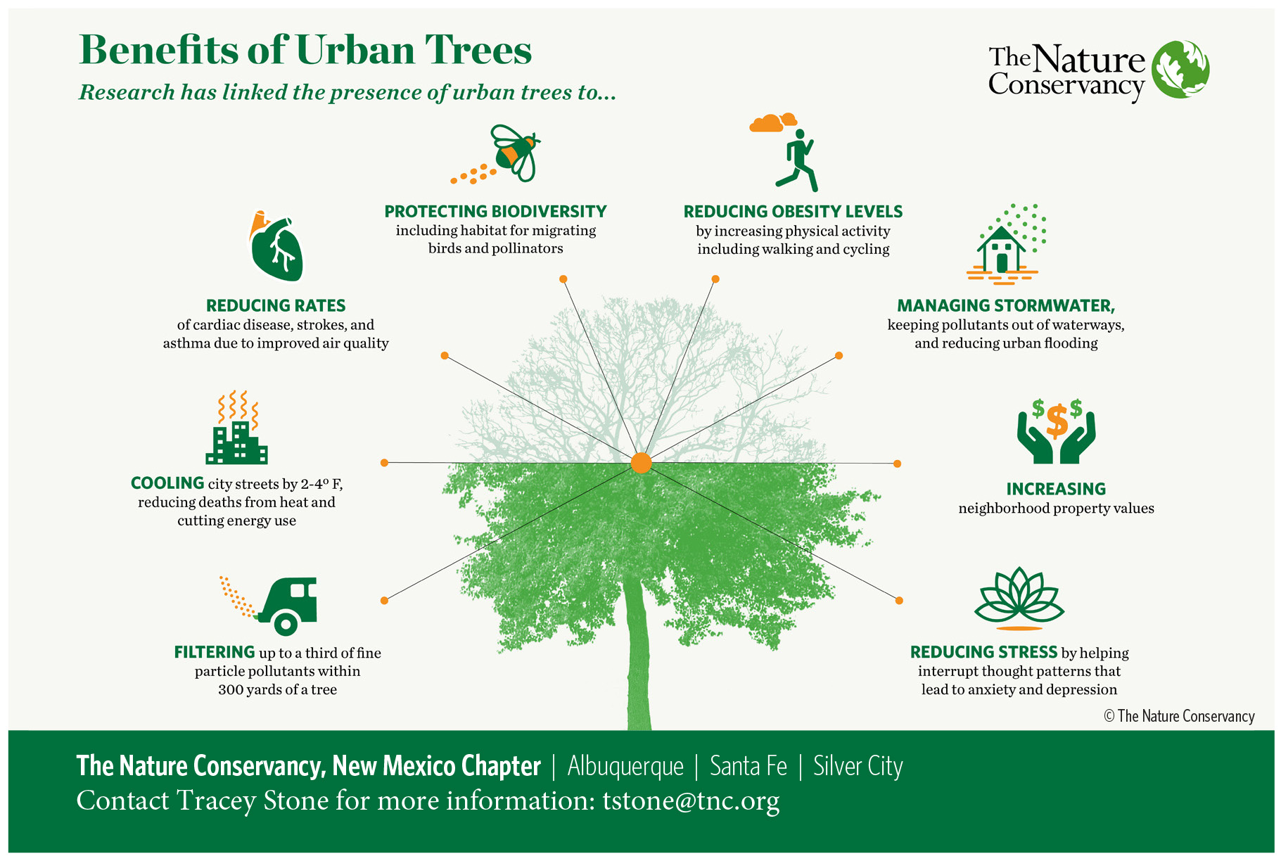 Graphic illustration depicting the many benefits of urban trees.