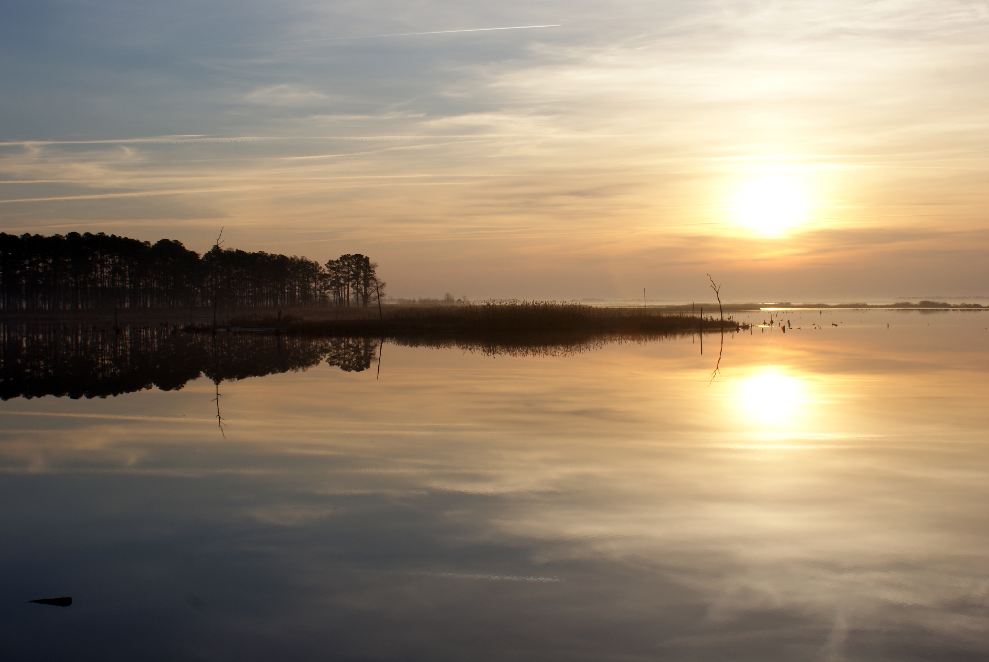 The sun rises over Blackwater National Wildlife Refuge.