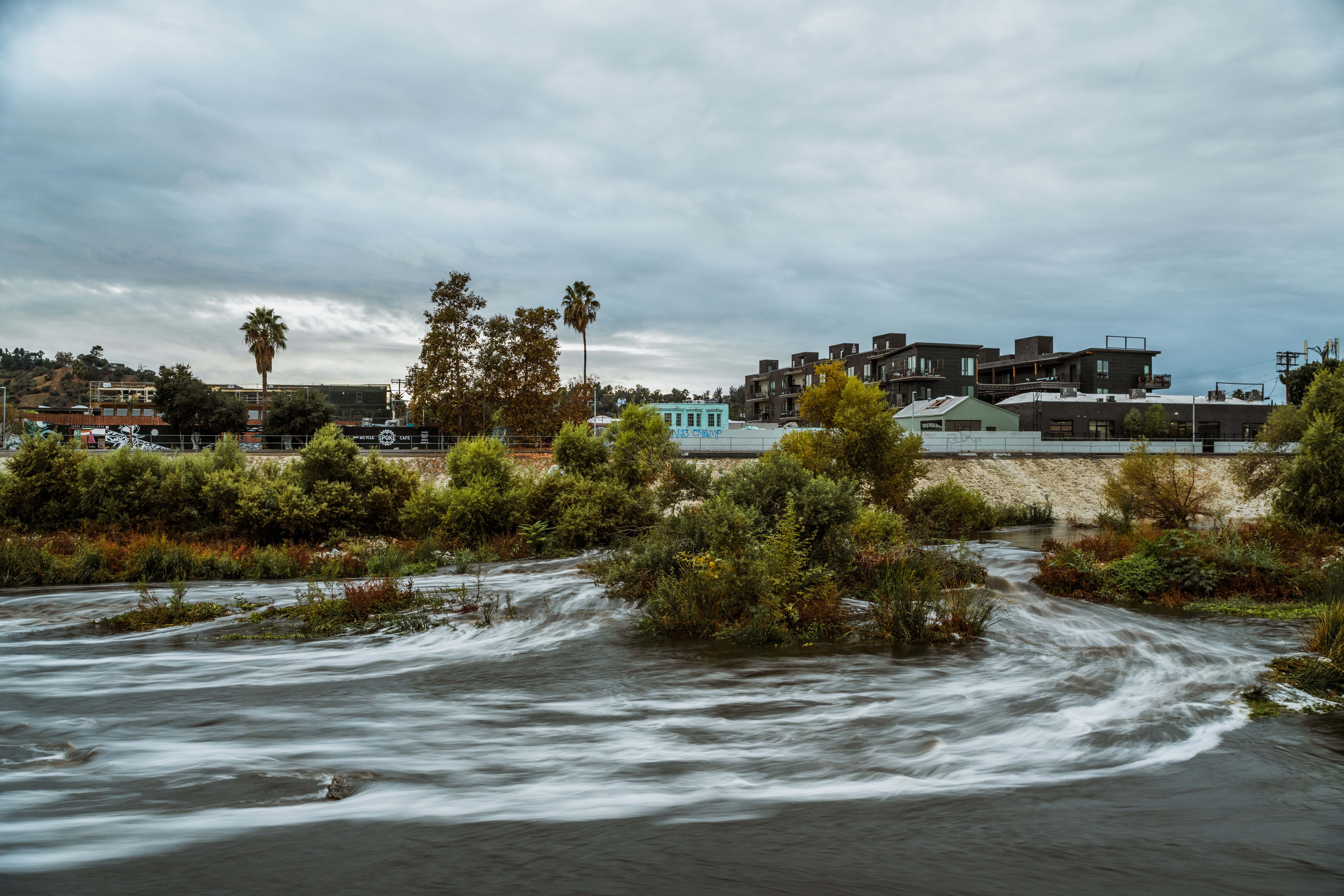 The Bowtie Project is a great example of a multi-benefit effort that captures and cleans storm water, enhances habitat, sequesters carbon, and provides recreational space. 