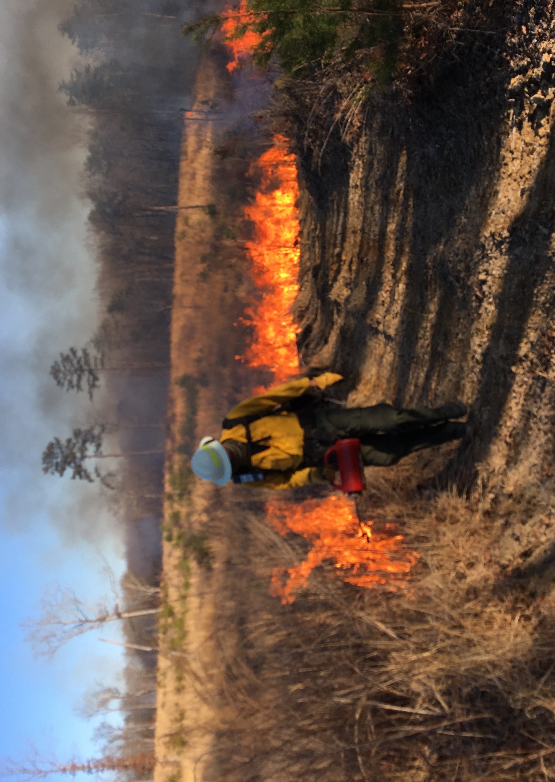 A man in a yellow vest and helmet sets a grassland on fire.