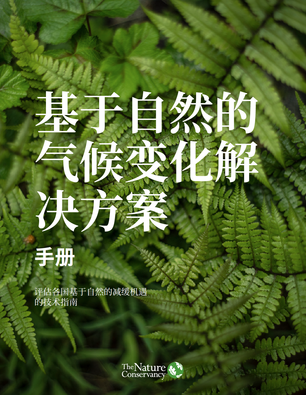 Cover of Natural Climate Solutions Handbook in Chinese Language.