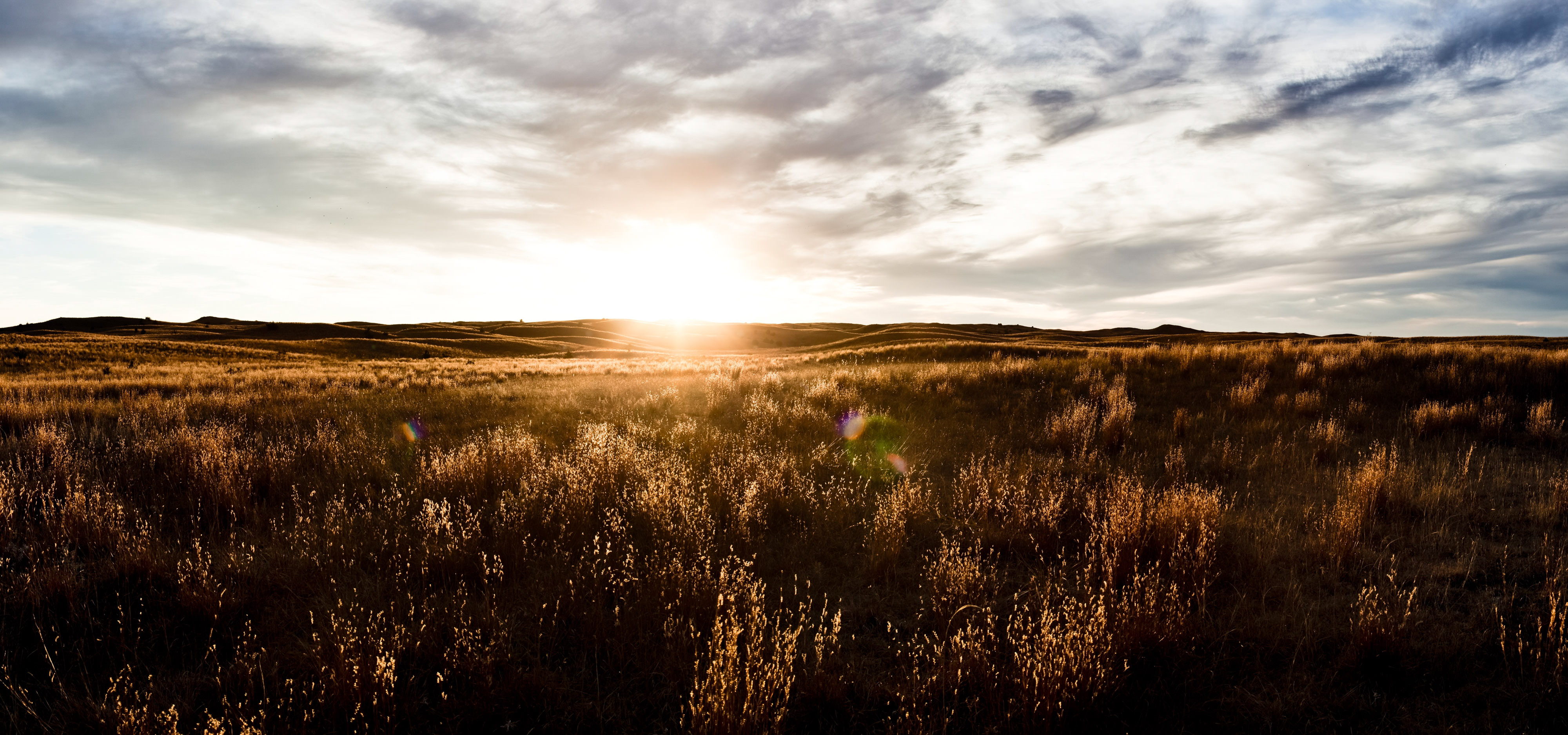 The sun sets along the horizon of a wide expanse of grassland, turning the landscape a golden brown color.