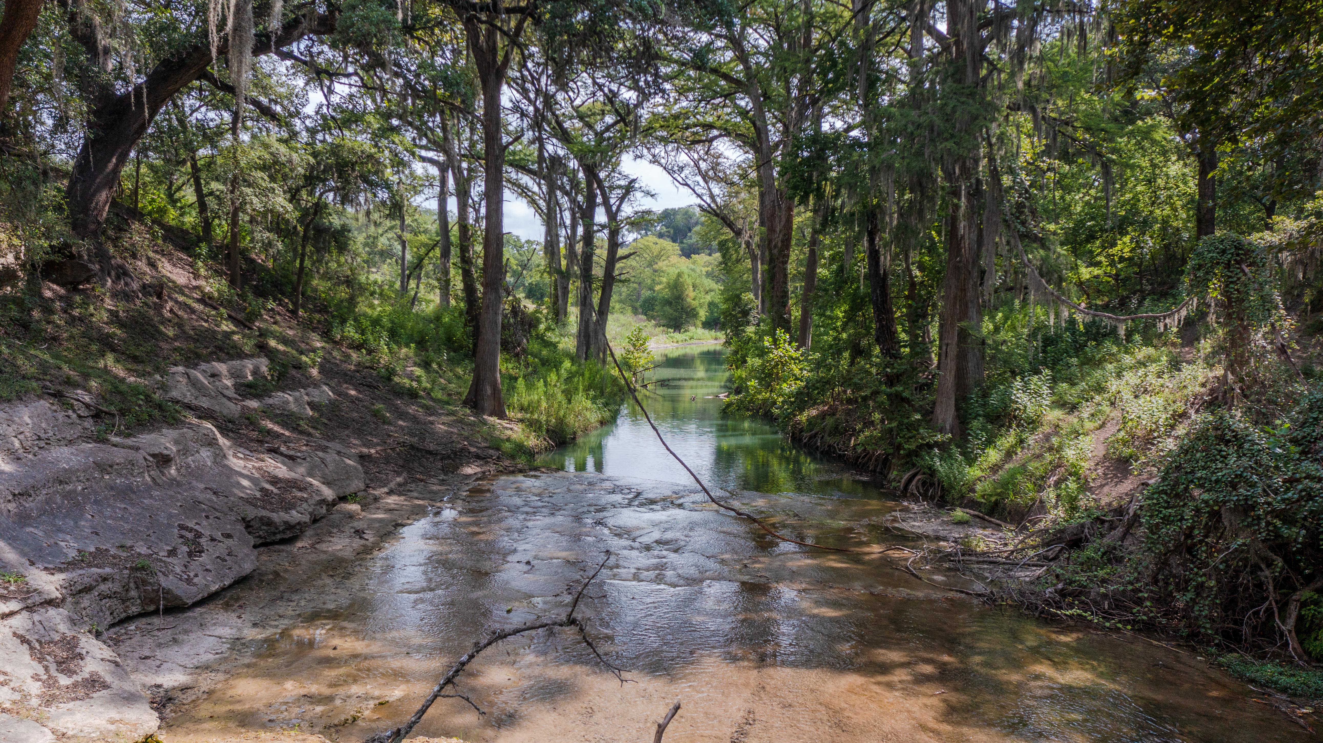 A creek meets the edge of large limestone boulders, lined by dense trees.