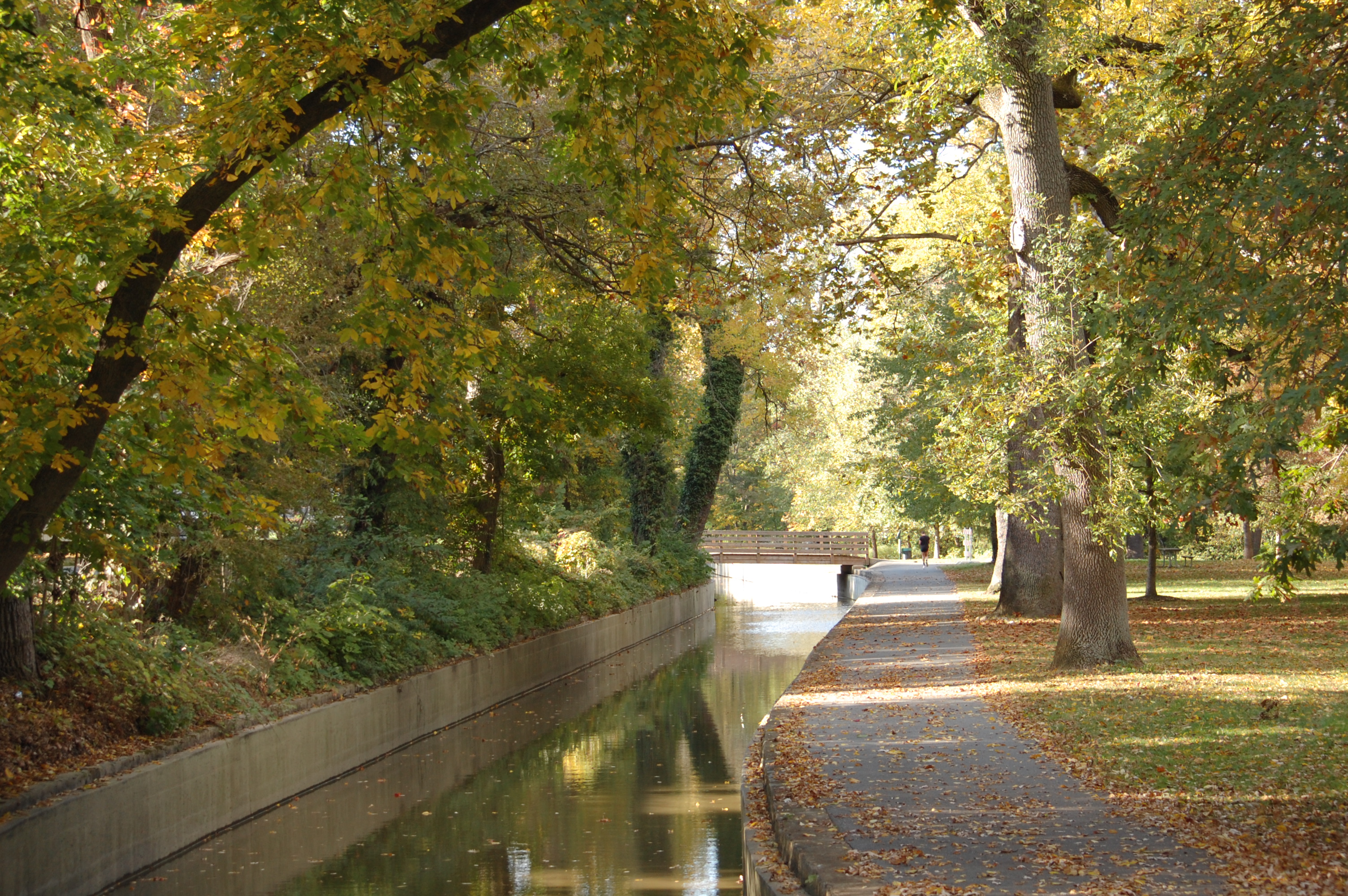 Water rushes over low falls on a narrow creek. A paved path runs alongside the water surrounded by trees.