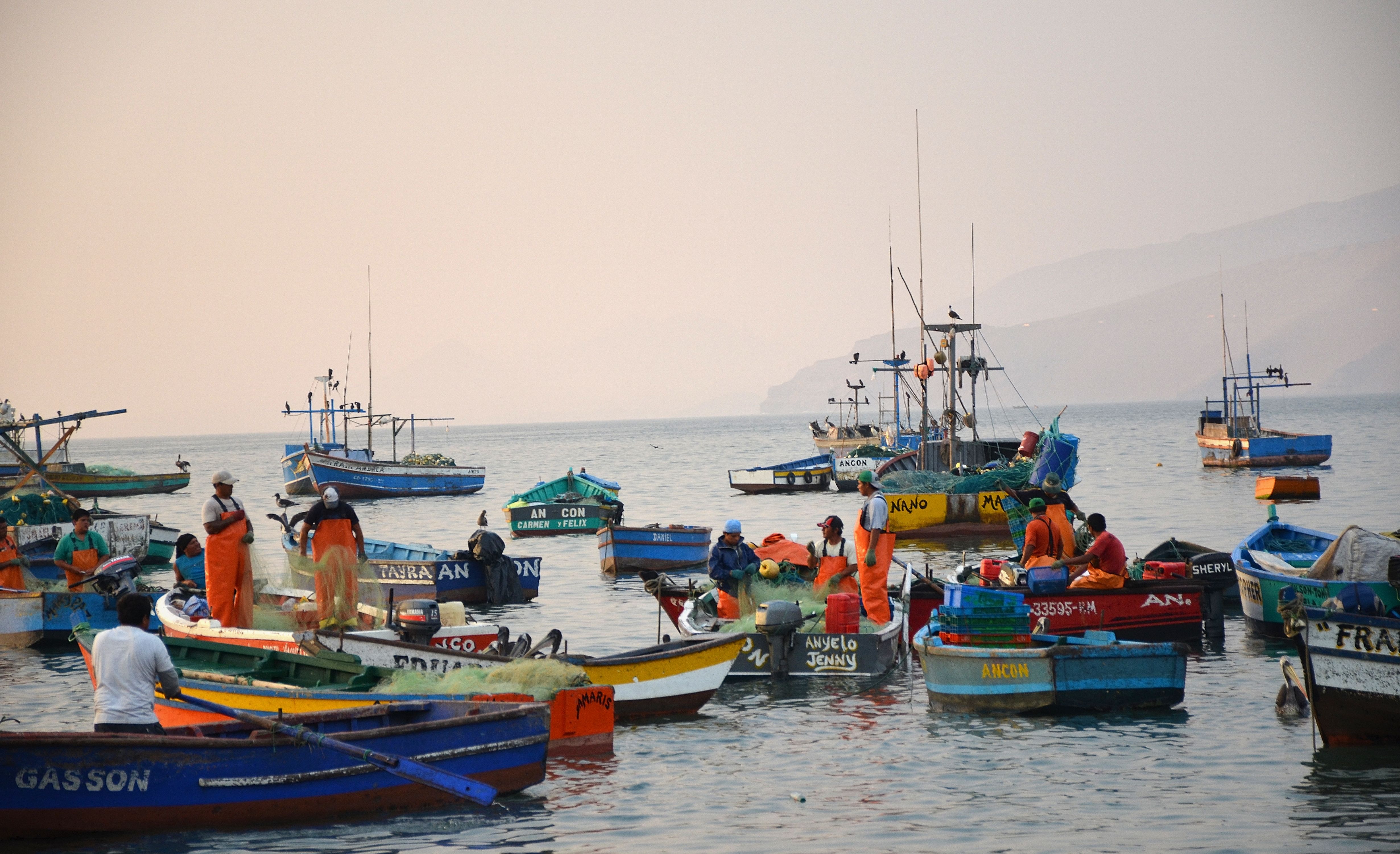 Several fishing boats gather in the harbor