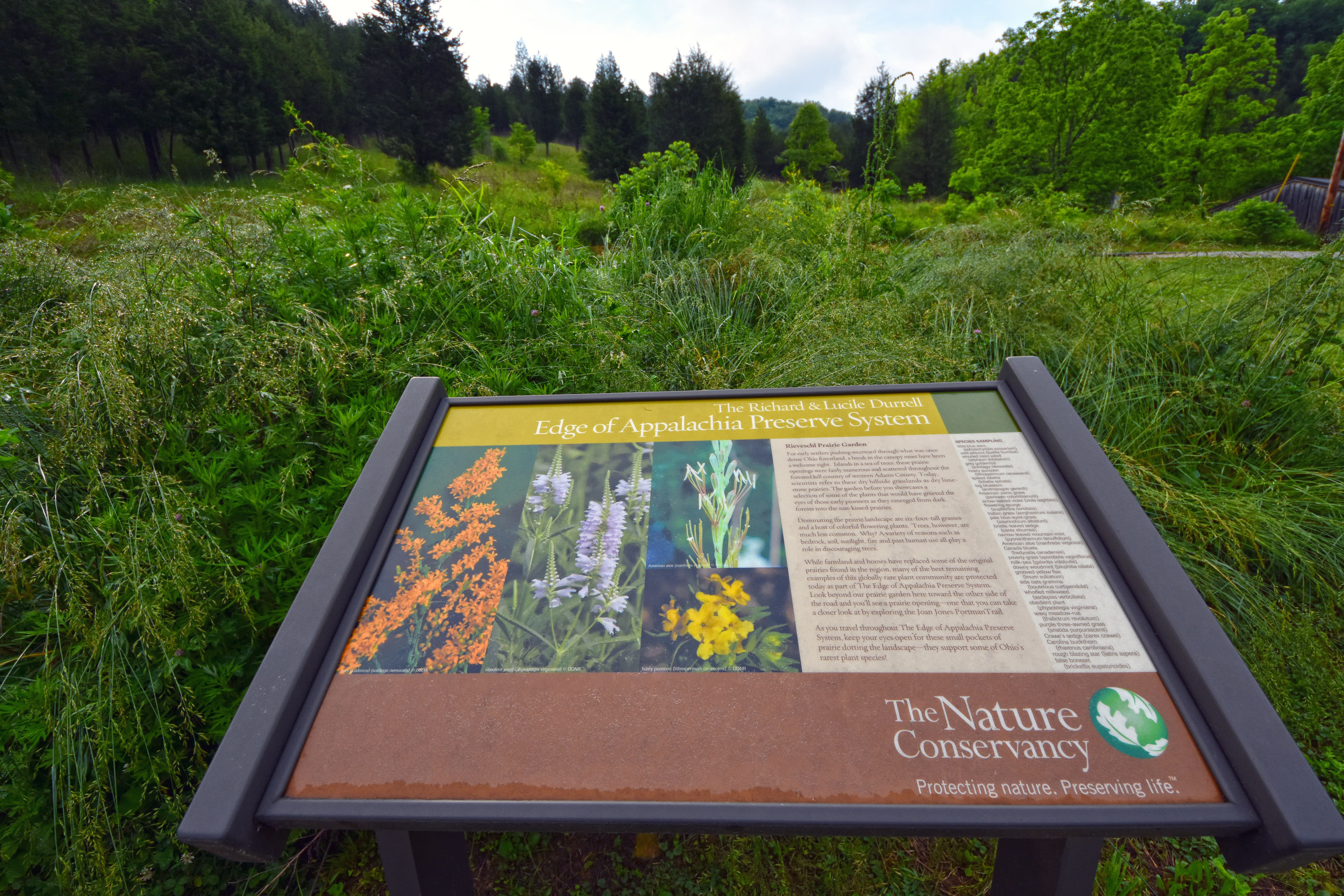 Signage at Joan Jones Portman Trail.