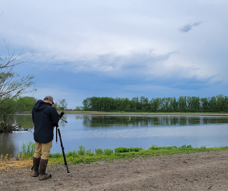 A person trains their camera on the still waters of Erie Marsh on a cloudy day. 
