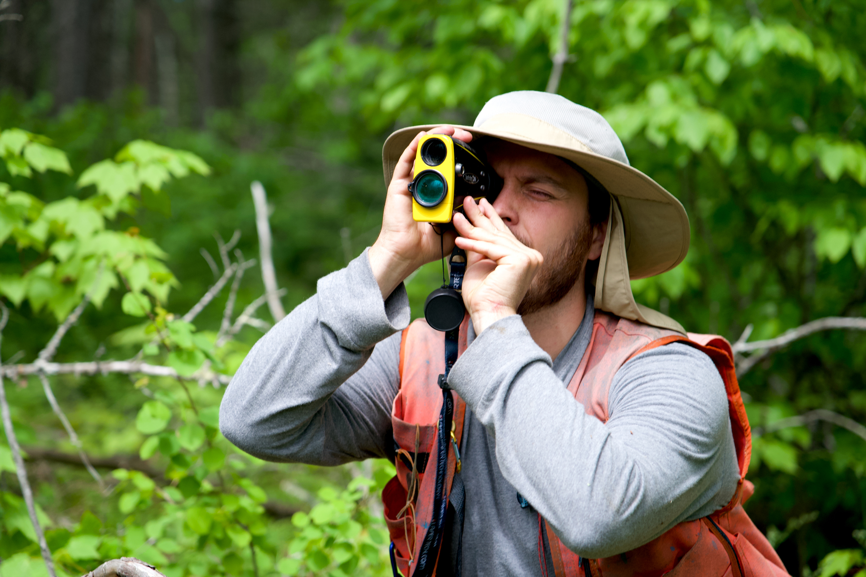 Forest Resilience