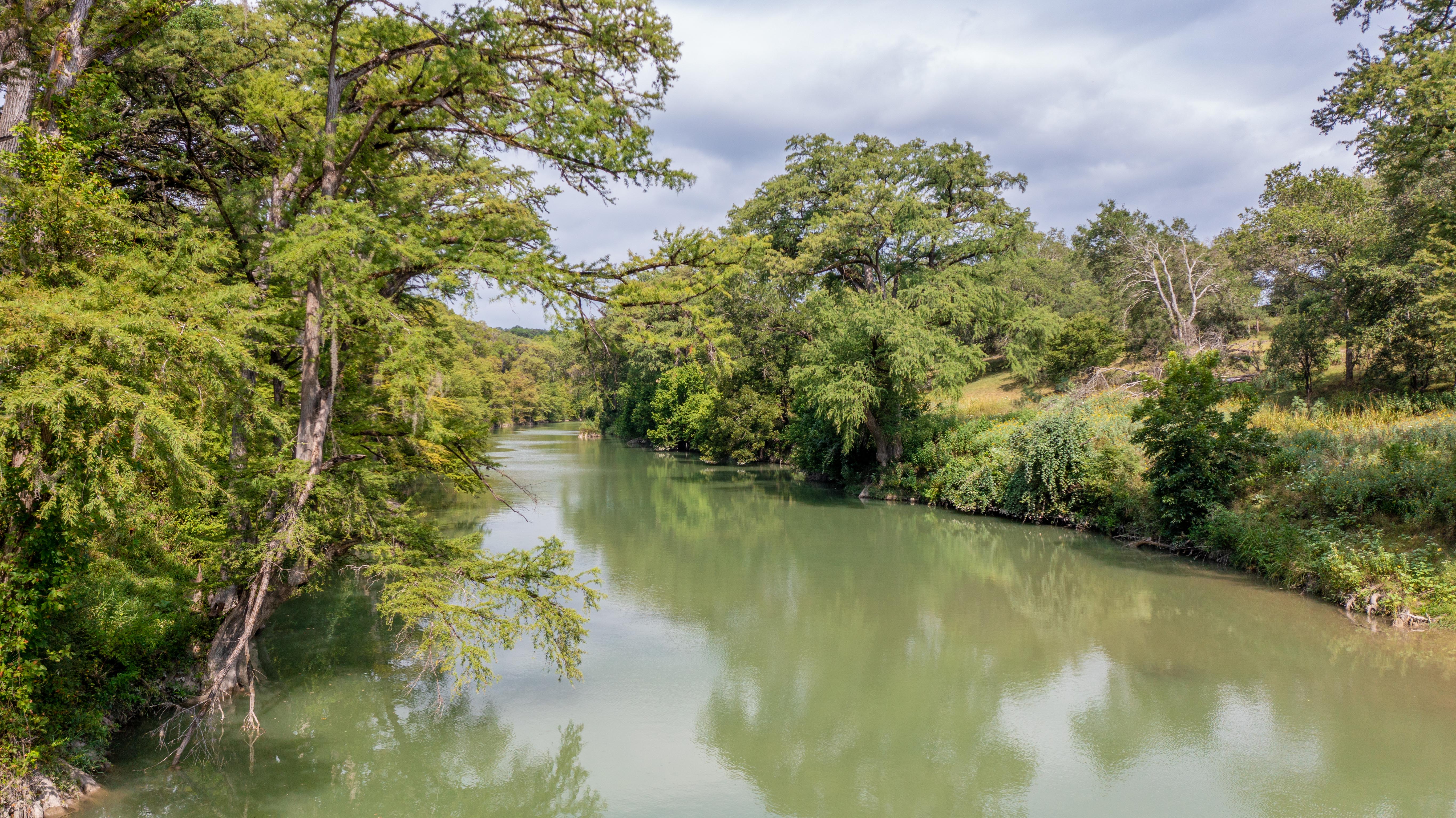 A green river lined with dense, green trees.