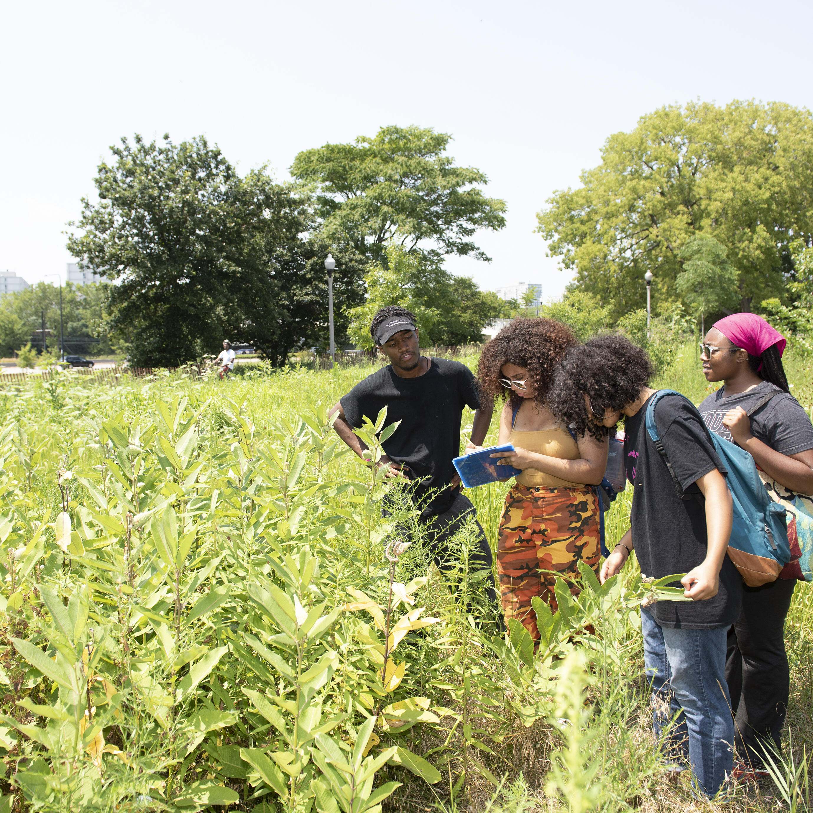 The Volunteer Stewardship Network (VSN) is a statewide program of TNC's Illinois chapter that supports, promotes and expands the role of communities working to protect nature.