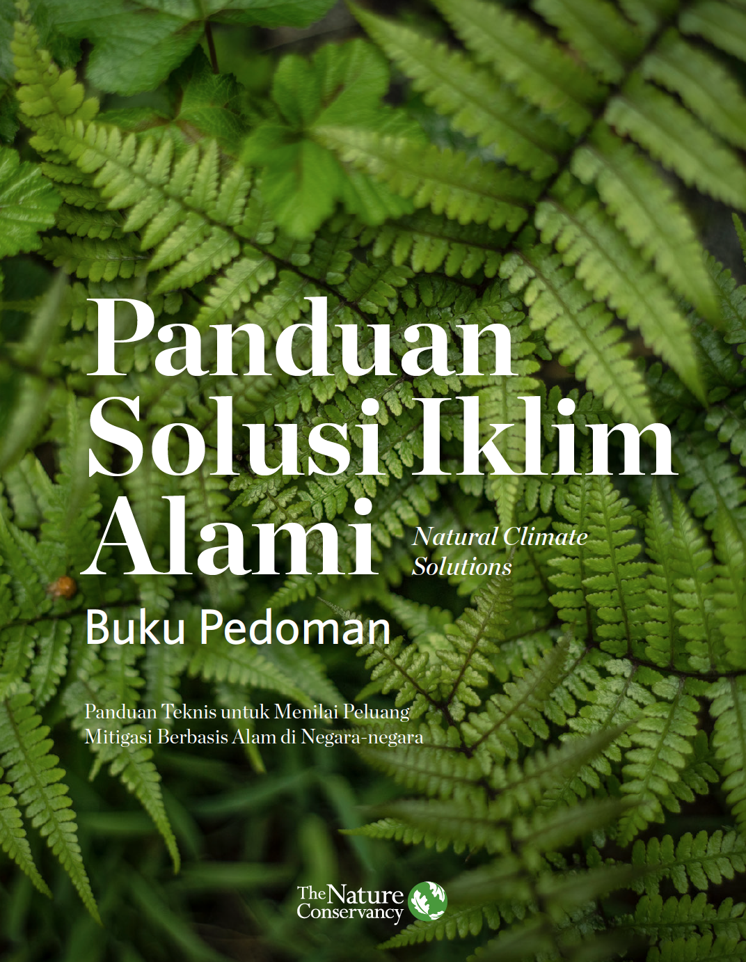Text that says Natural Climate Solutions Handbook in Indonesian with micro shot of ferns.