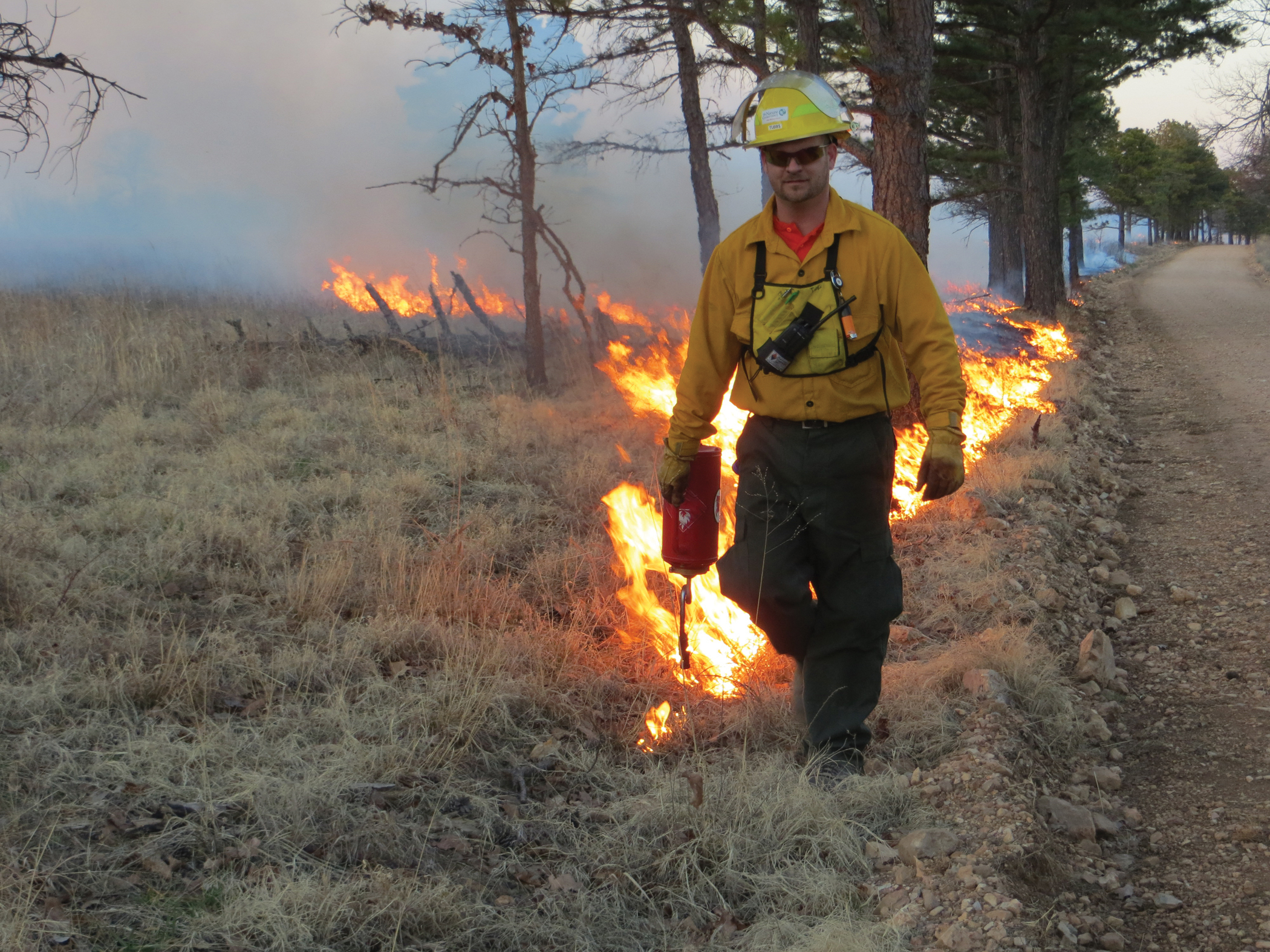 Man using drip torch to set a controlled burn.