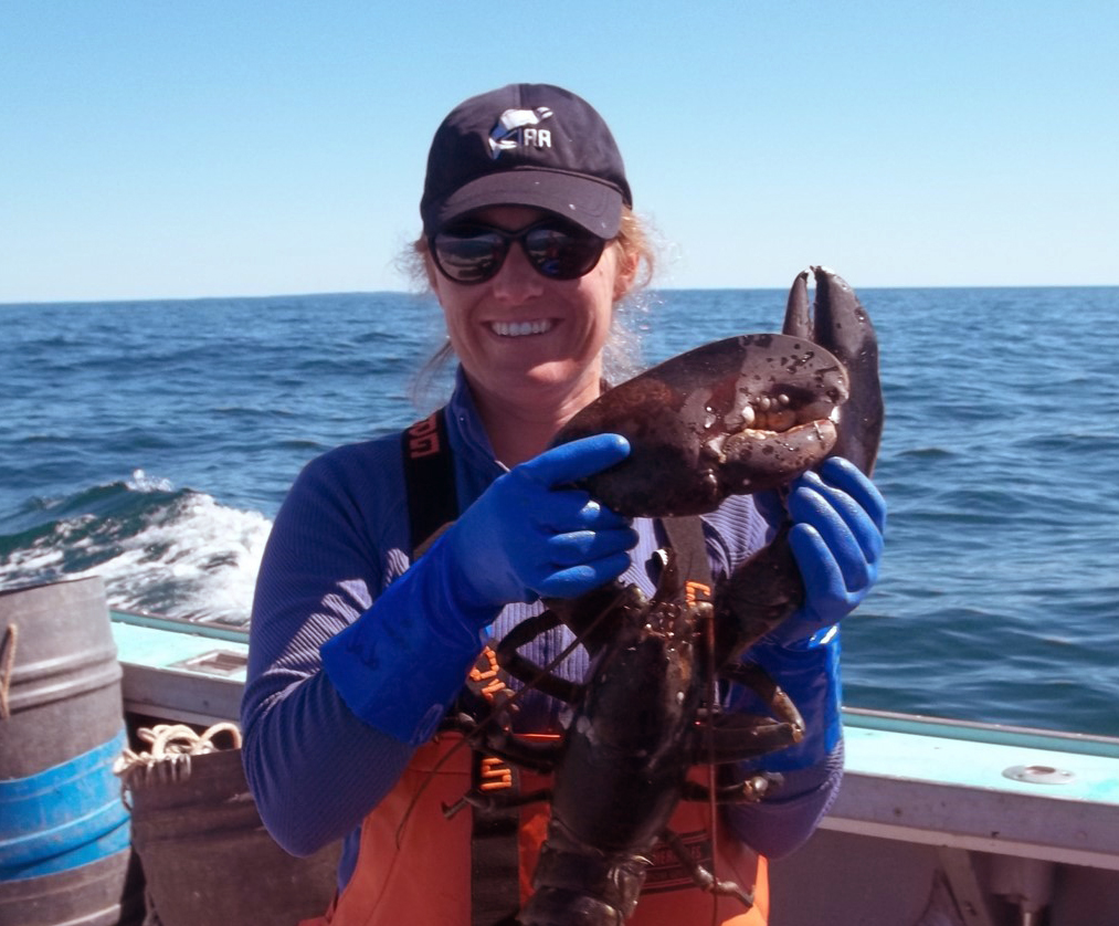 a woman in a fishing boat wearing a baseball cap holds a lobster with water in the background.