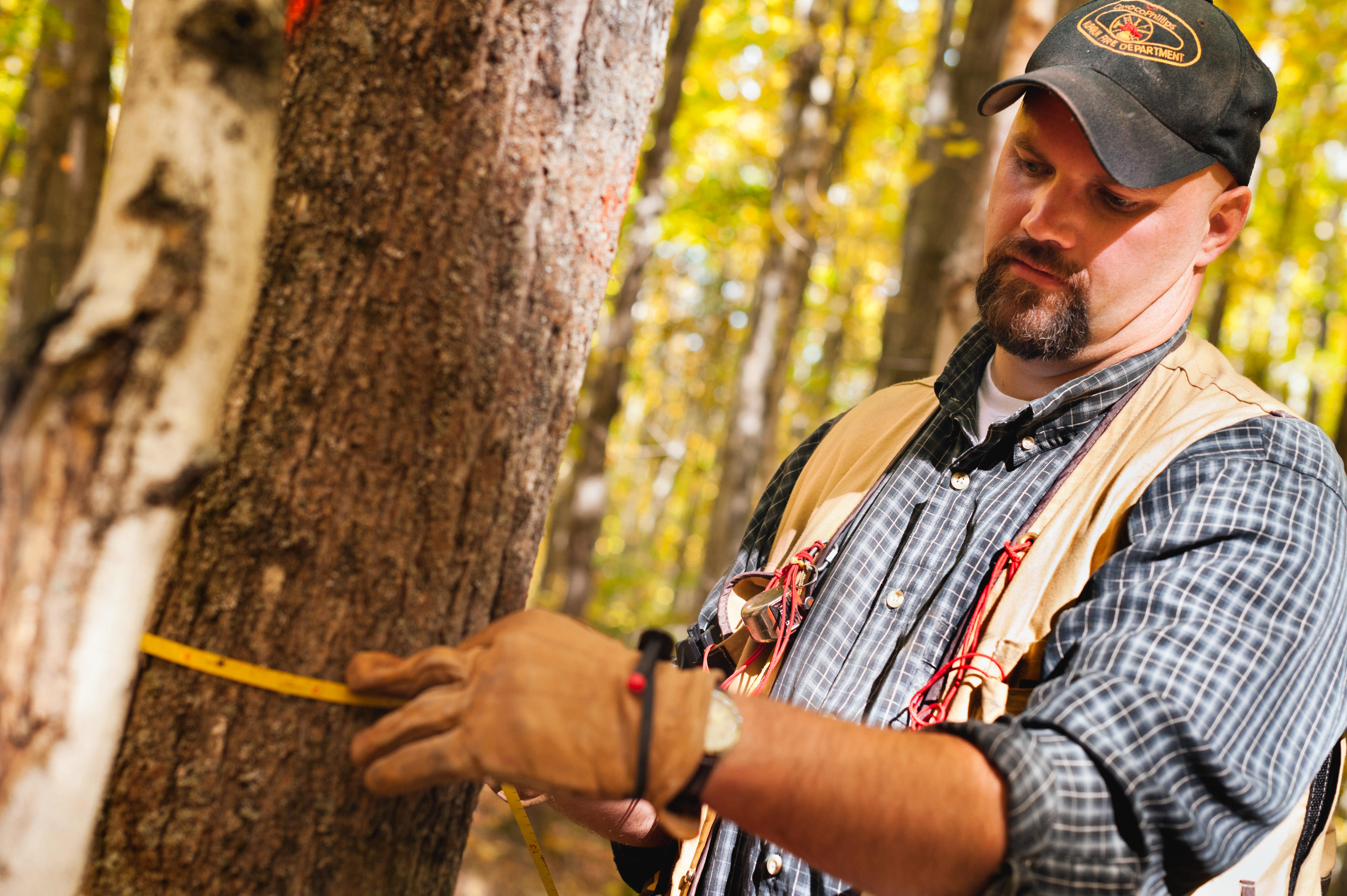 Forest manager Jon Fosgitt holds a measuring tape wrapped around the trunk of a small tree and reads the measurement.