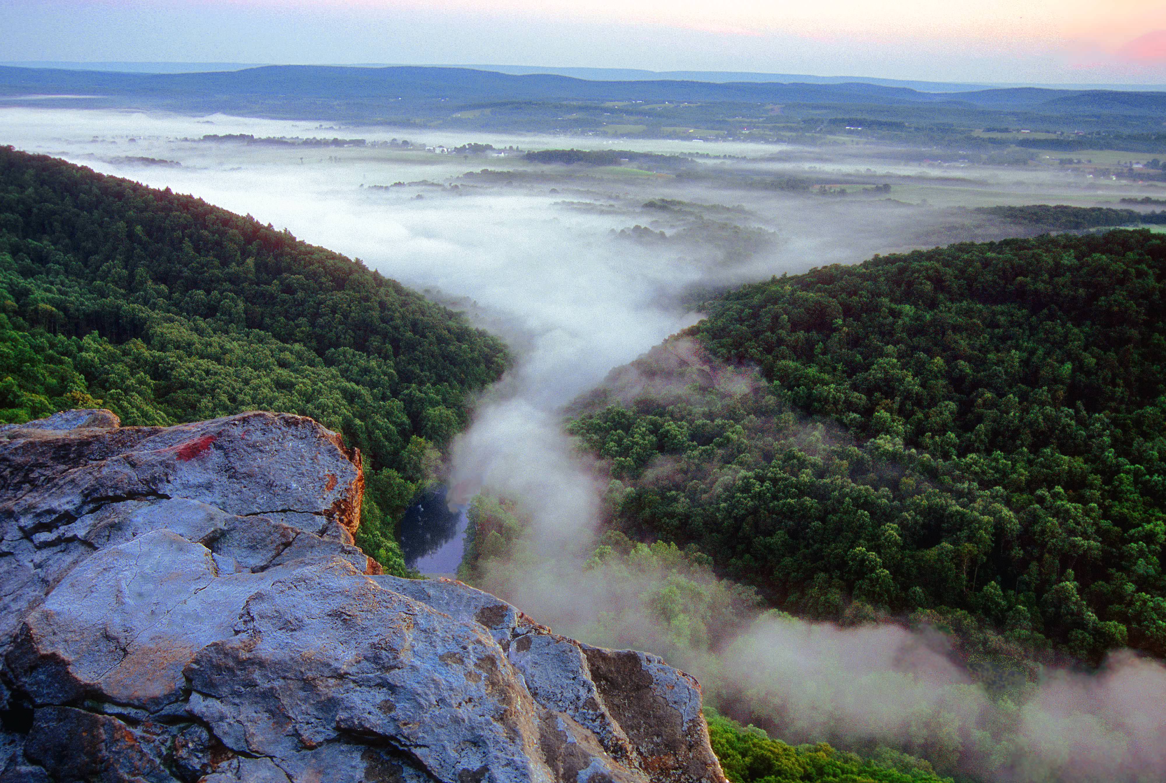 View from a rock outcropping of thick white mist rising up from the green forest in the valleyl below.
