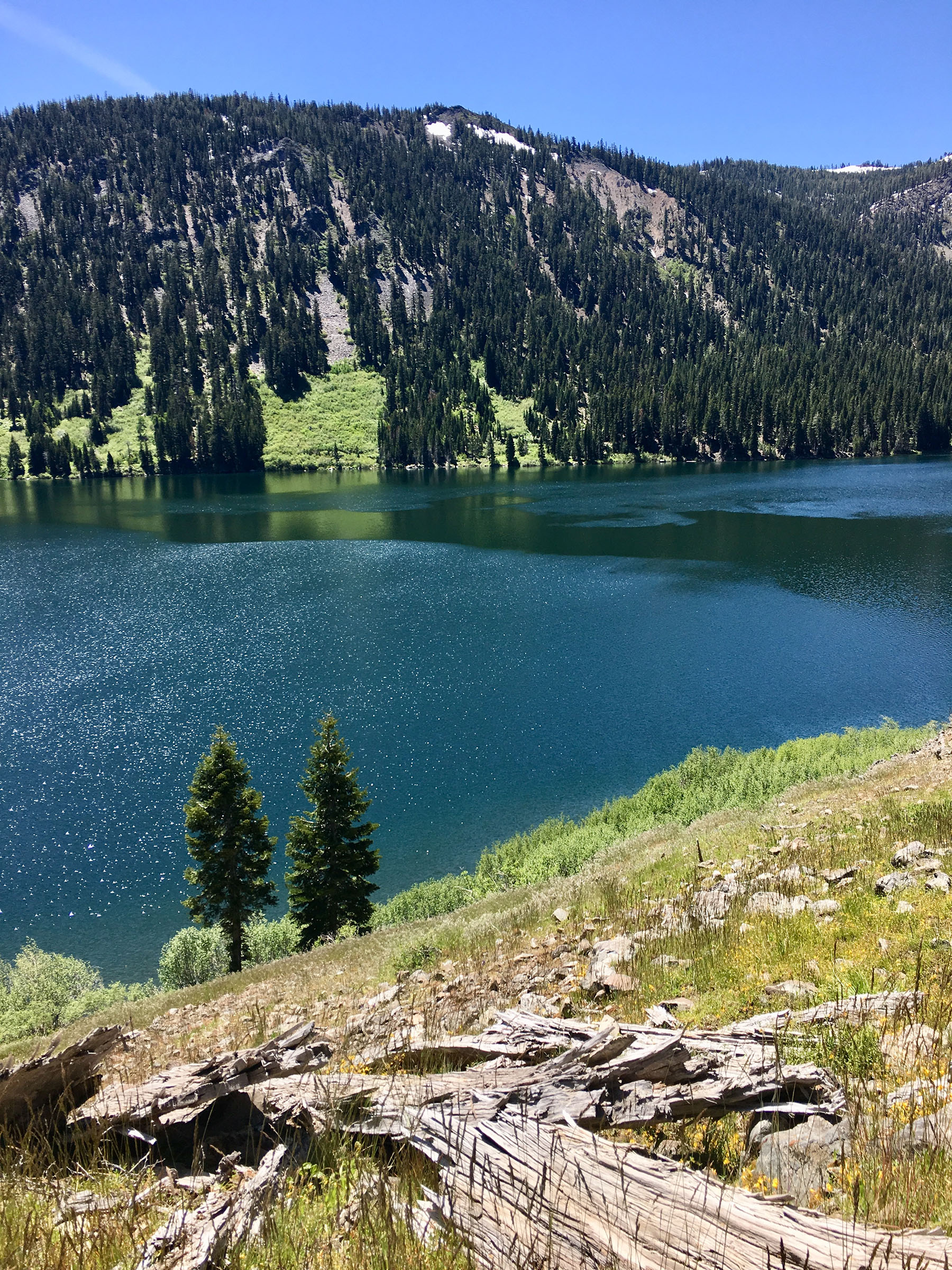 A view of the shore and lake at Independence lake.