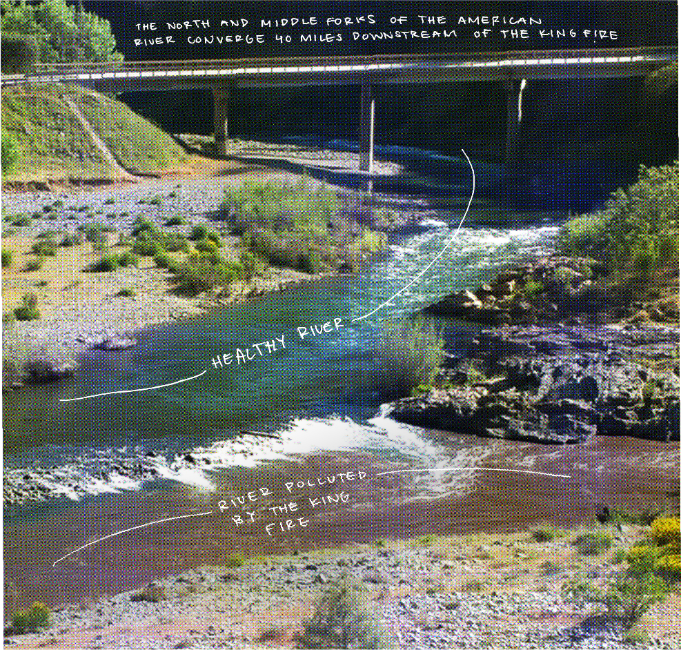 A view of a healthy river meeting a sediment polluted river.