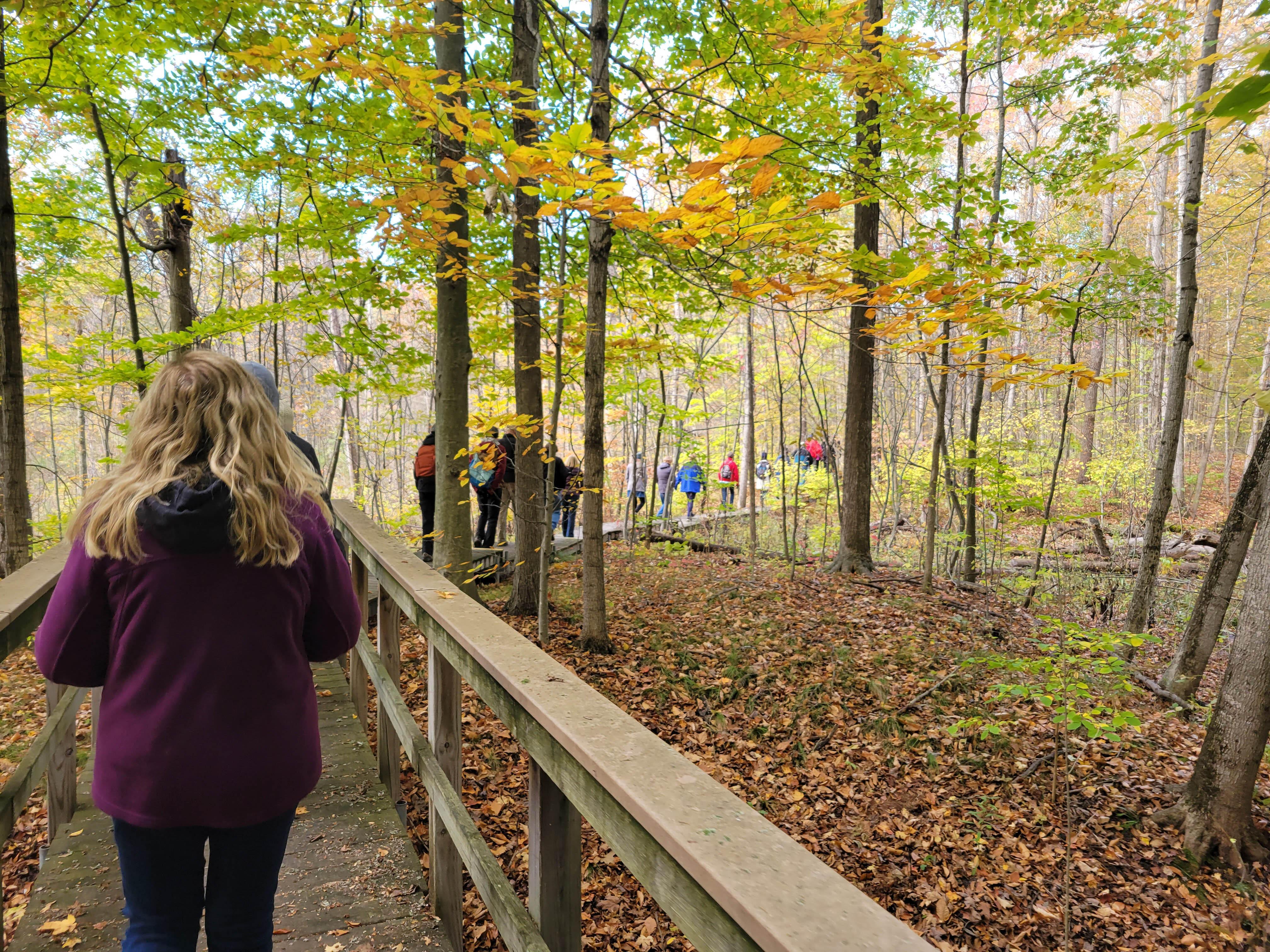 A group of people walk along a boardwalk at Nan Weston Nature Preserve at Sharon Hollow in Chelsea, Michigan during the fall. 