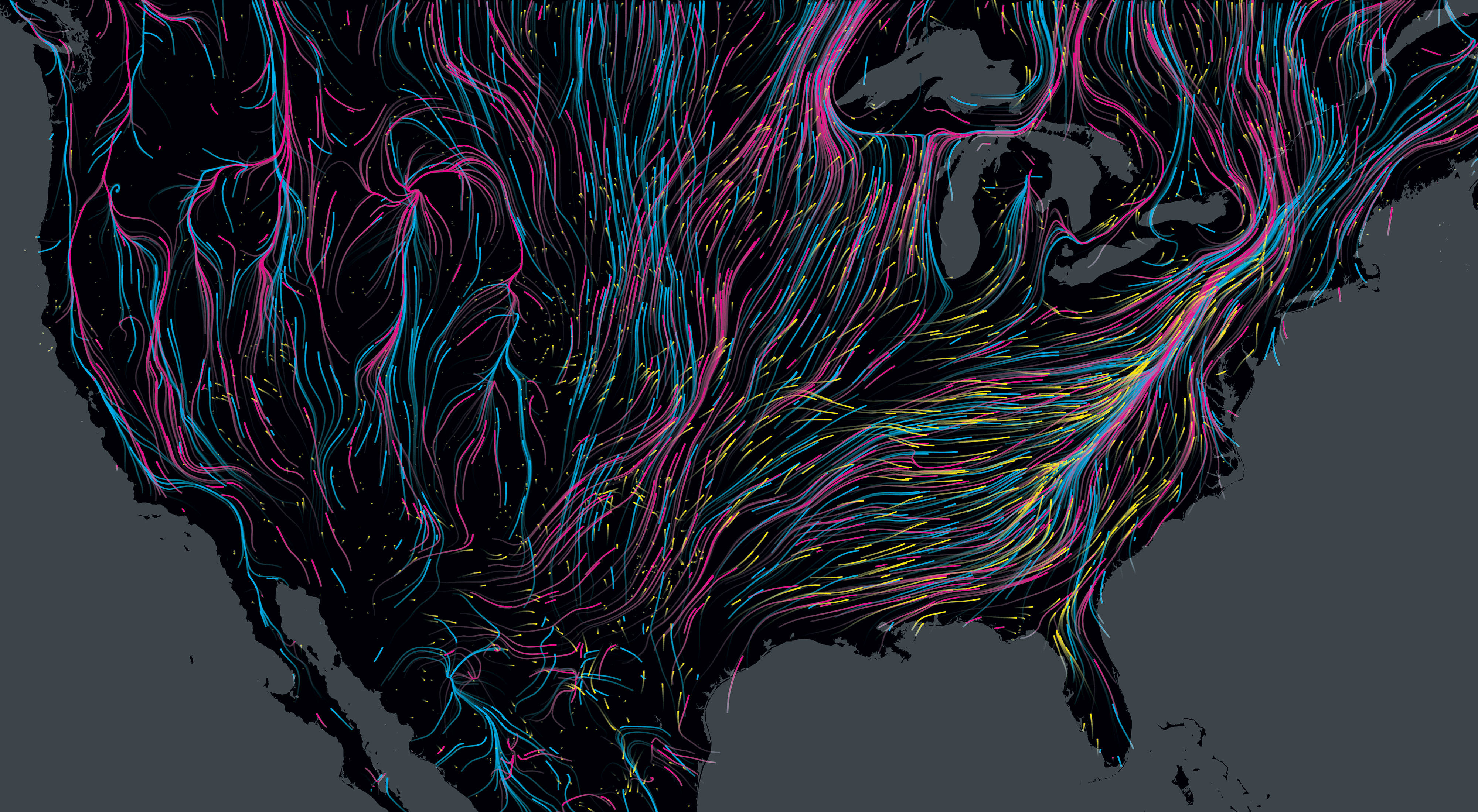 Un mapa de los Estados Unidos se entrecruza con los coloridos caminos que toman diferentes animales mientras migran.