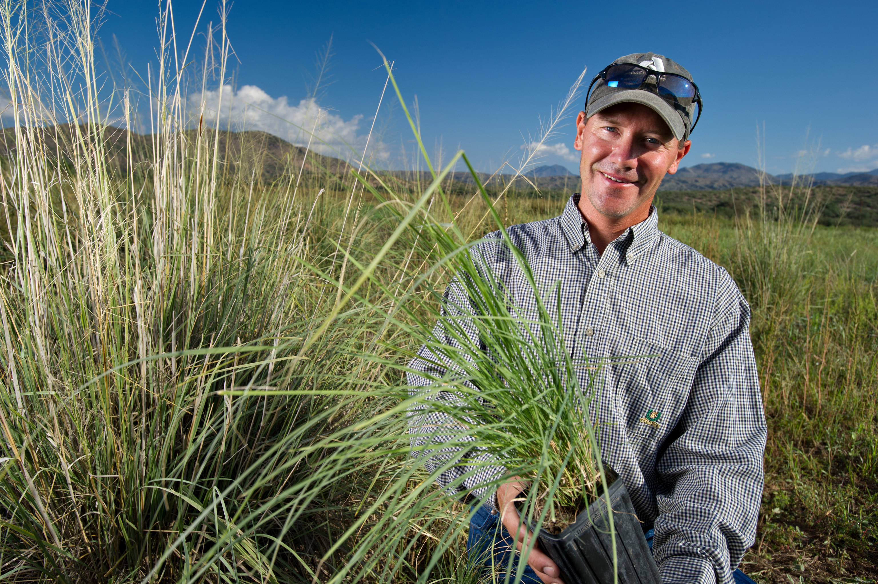 Mark Haberstich holding a plastic pot containing native grasses ready to be planted at a restoration site.