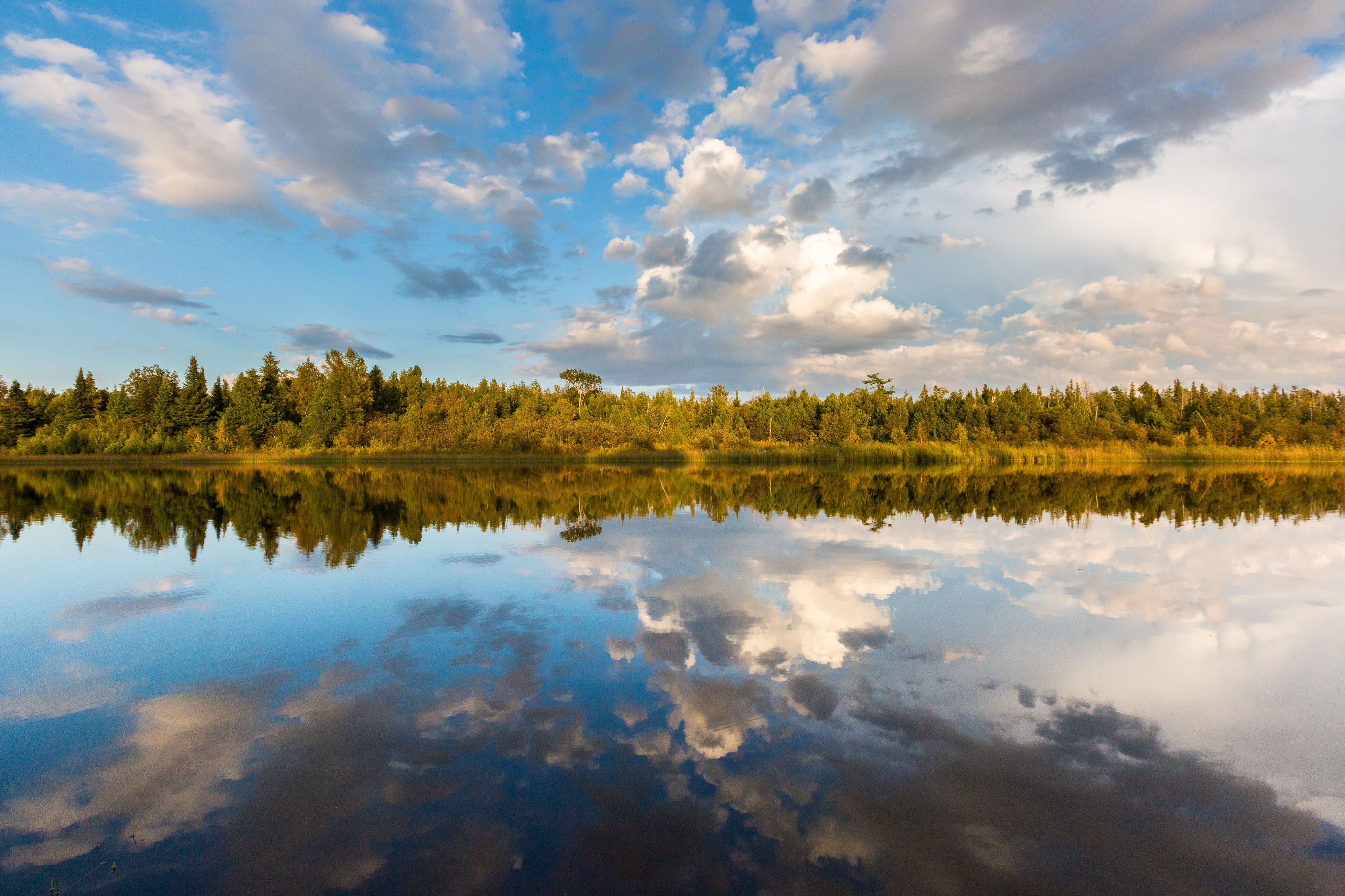 A blue sky with white clouds is reflected on the still waters of Mink River with green trees on the far side of the lake. 