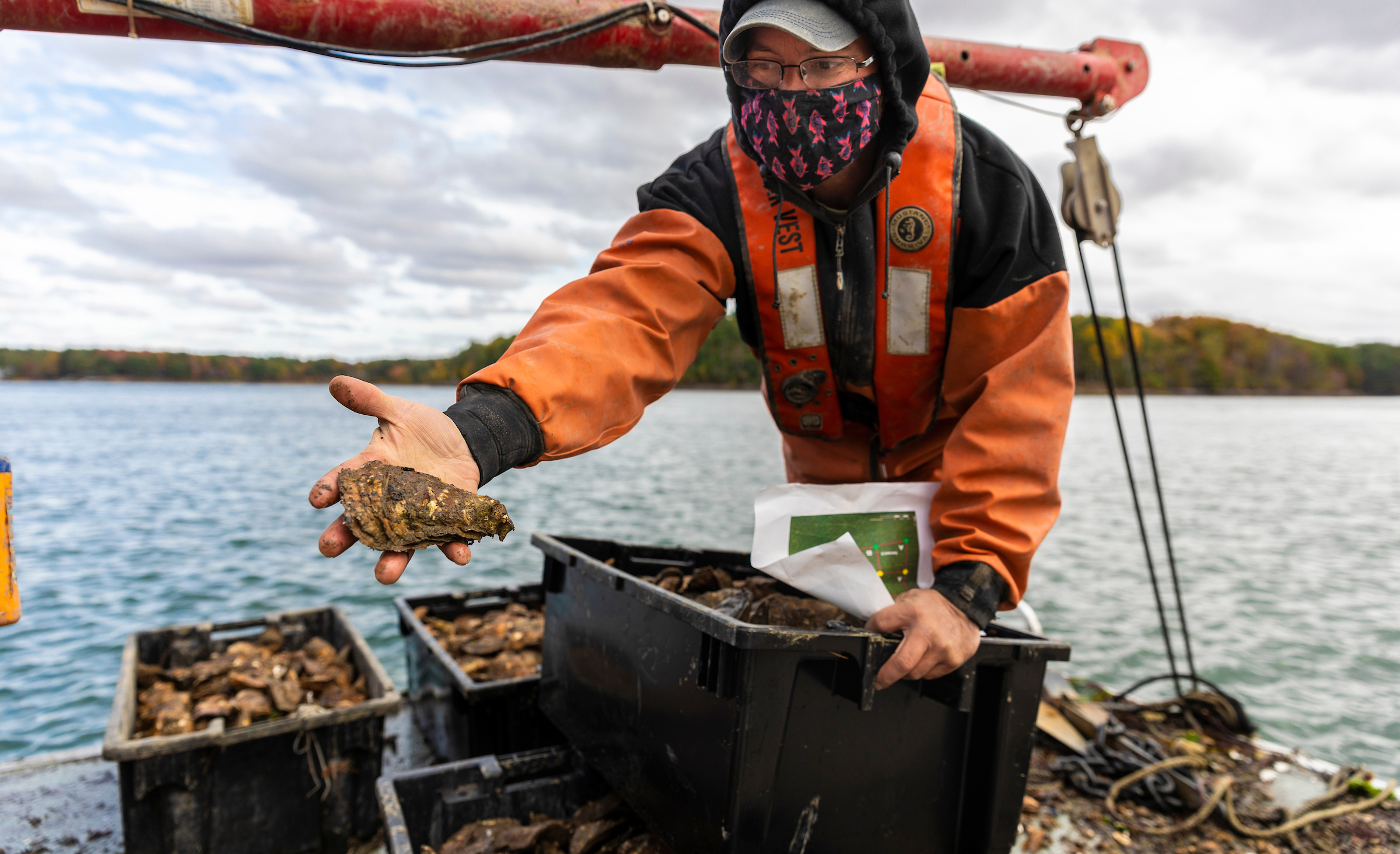 A person stands on the deck of a boat surrounded by containers filled with oysters. They hold a single oyster in their outstretched hand.