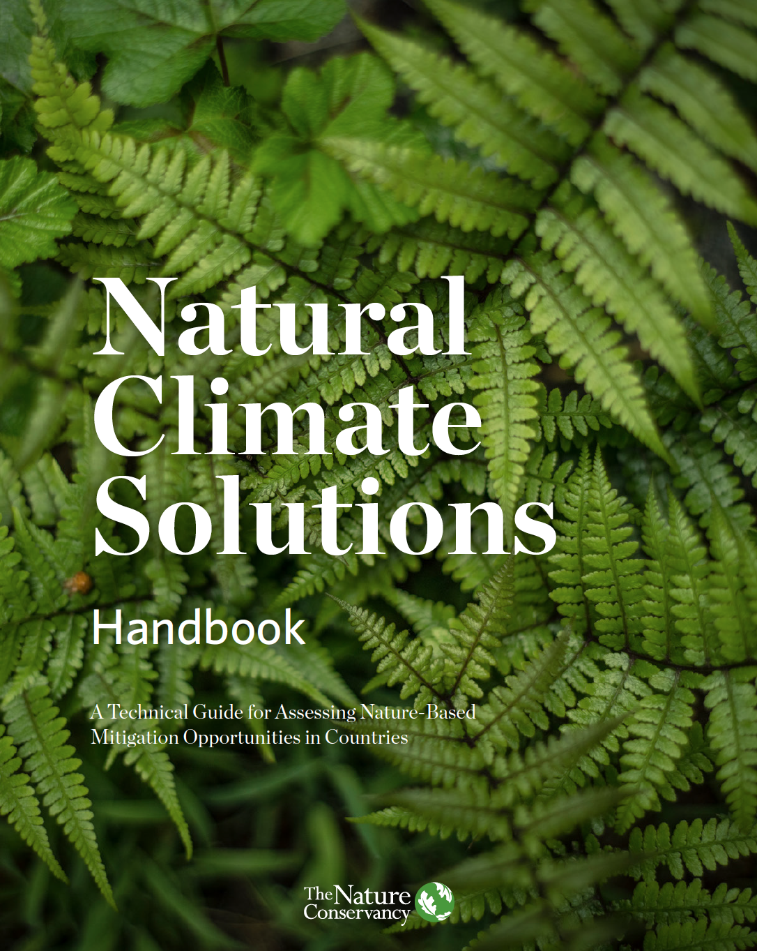 Text that says Natural Climate Solutions Handbook with micro shot of ferns.