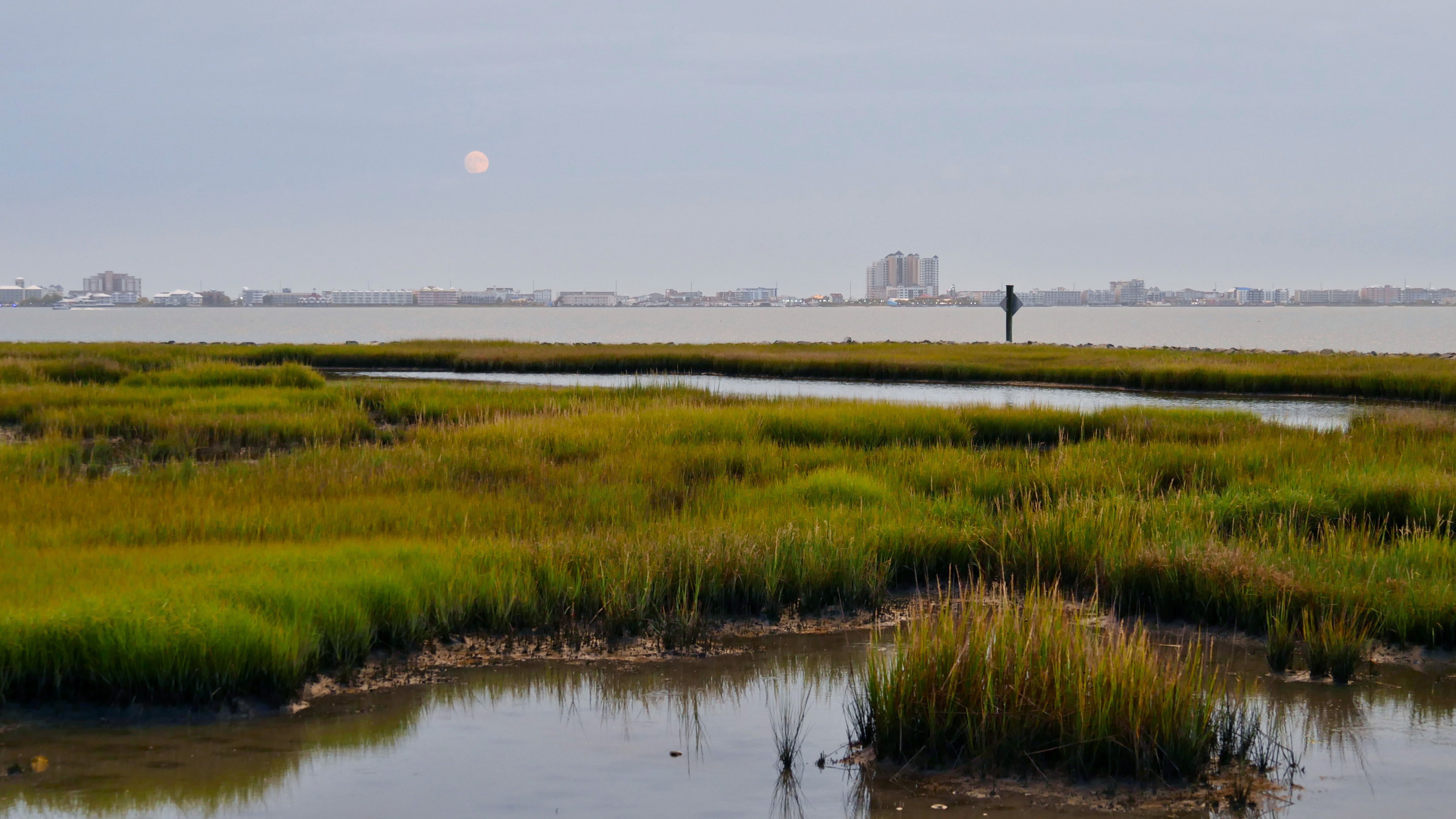 View of the Ocean City skyline. The buildings line the skyline in the distance across an open body of water. Green marshes cut by meandering channels of water are in the foreground.