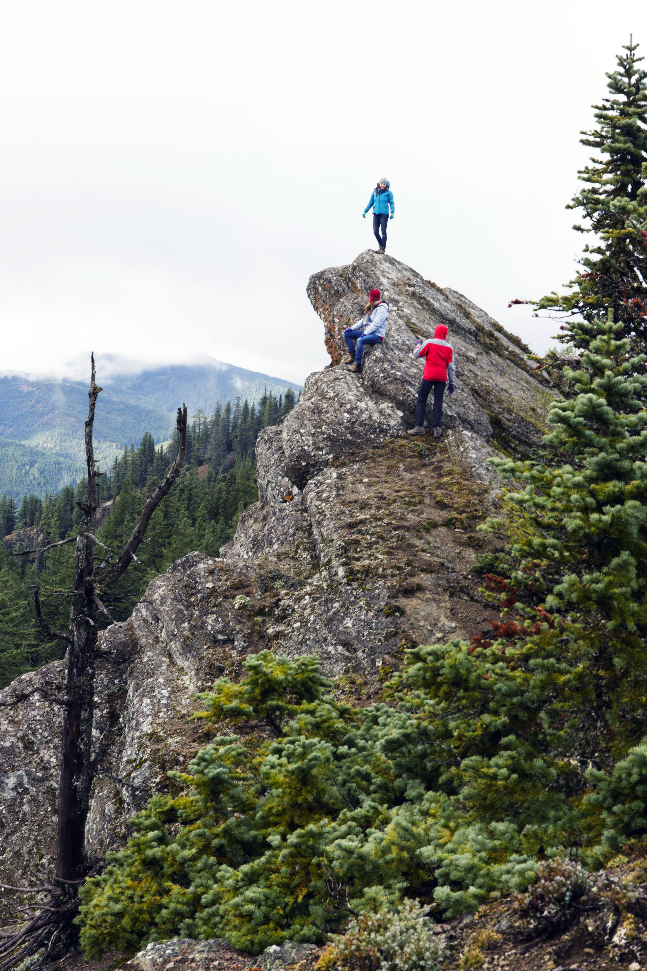 Hikers climbing a hill.