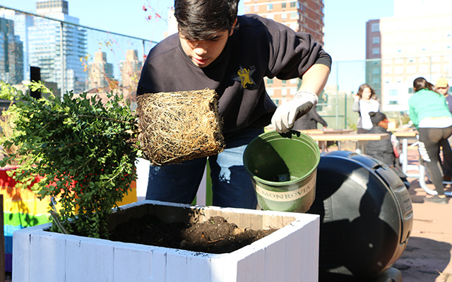 Student building green roof in New York City