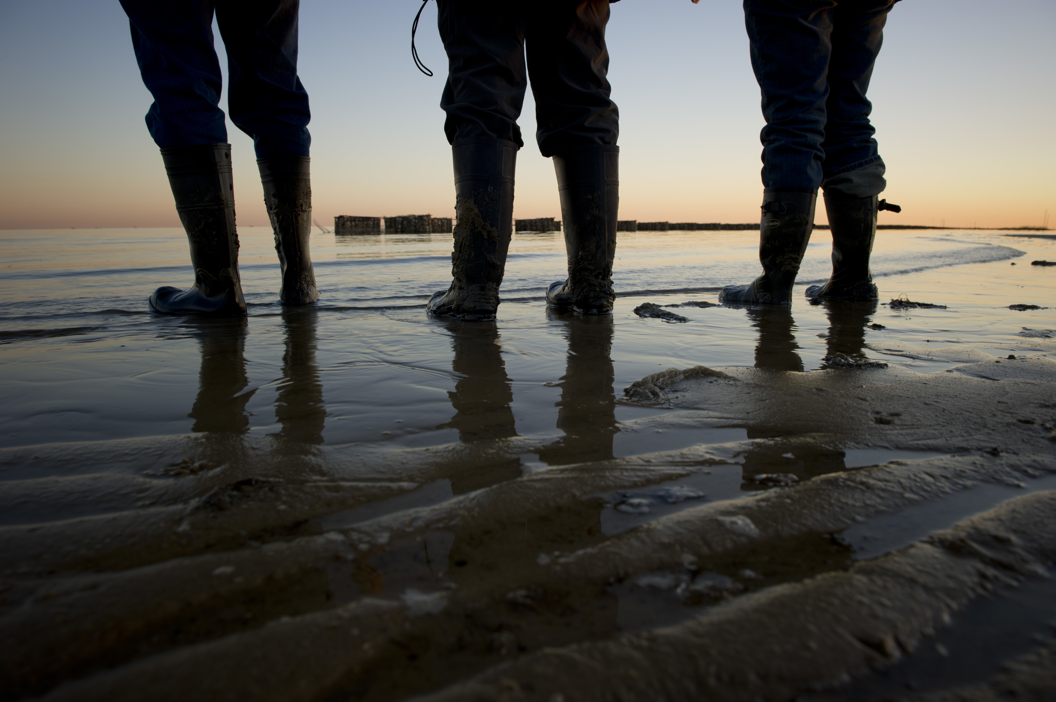 Three people dip their feet into water at the edge of an ocean.