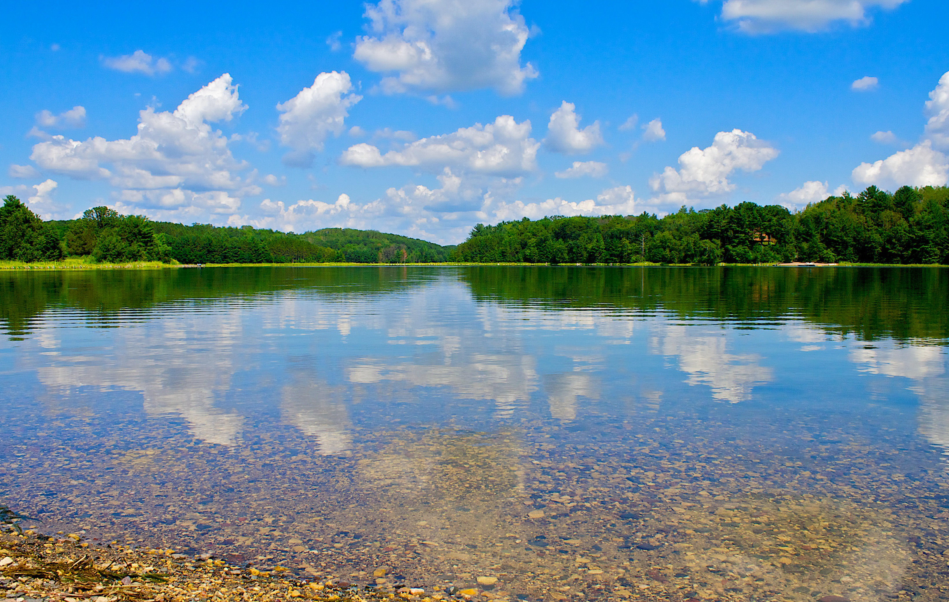 Beautiful clear blue lake with rocky shoreline in foreground, green forest and wetlands in distance with blue sky and puffy clouds.