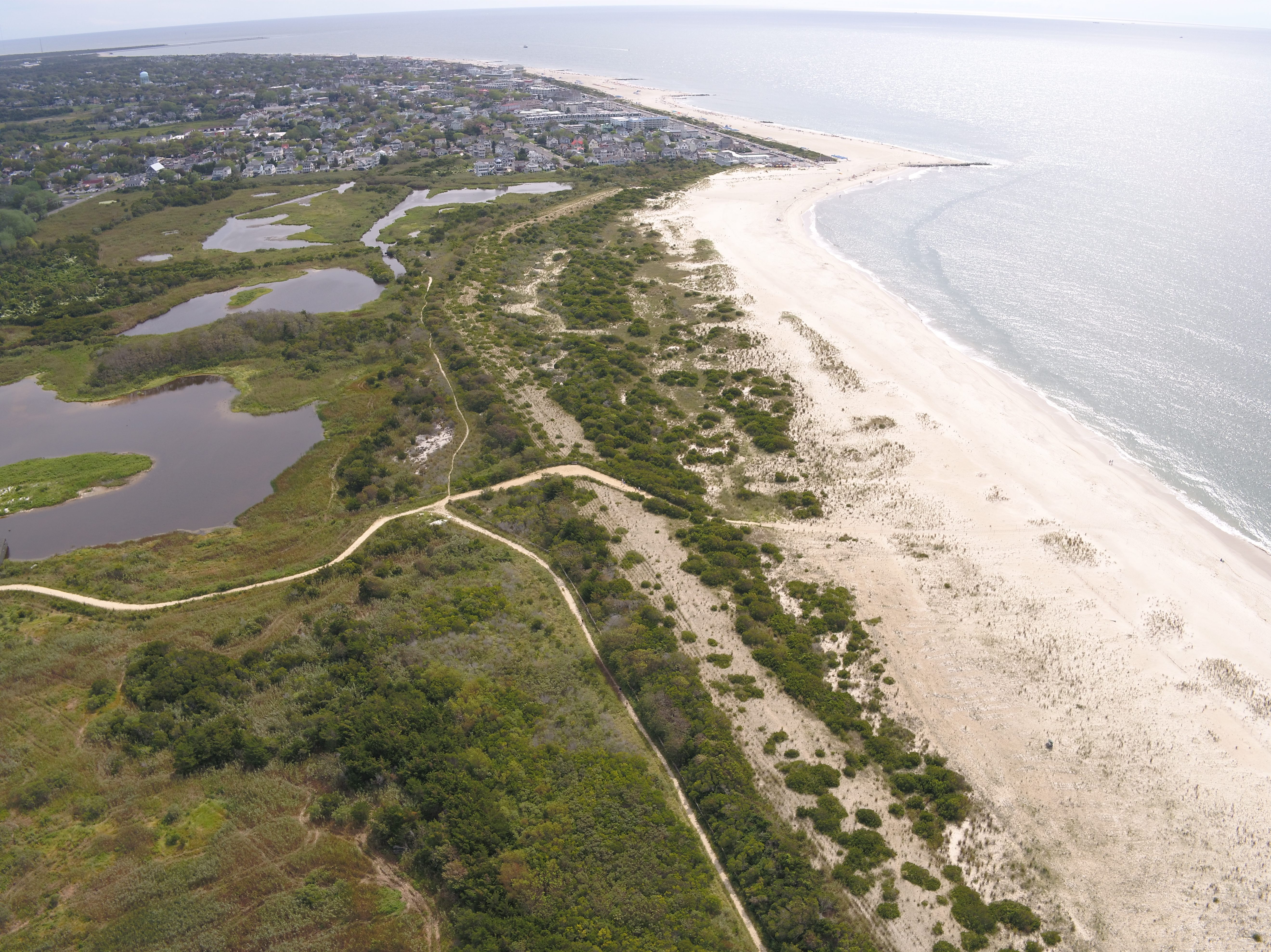 An aerial view shows nature trails that lead to a beach.