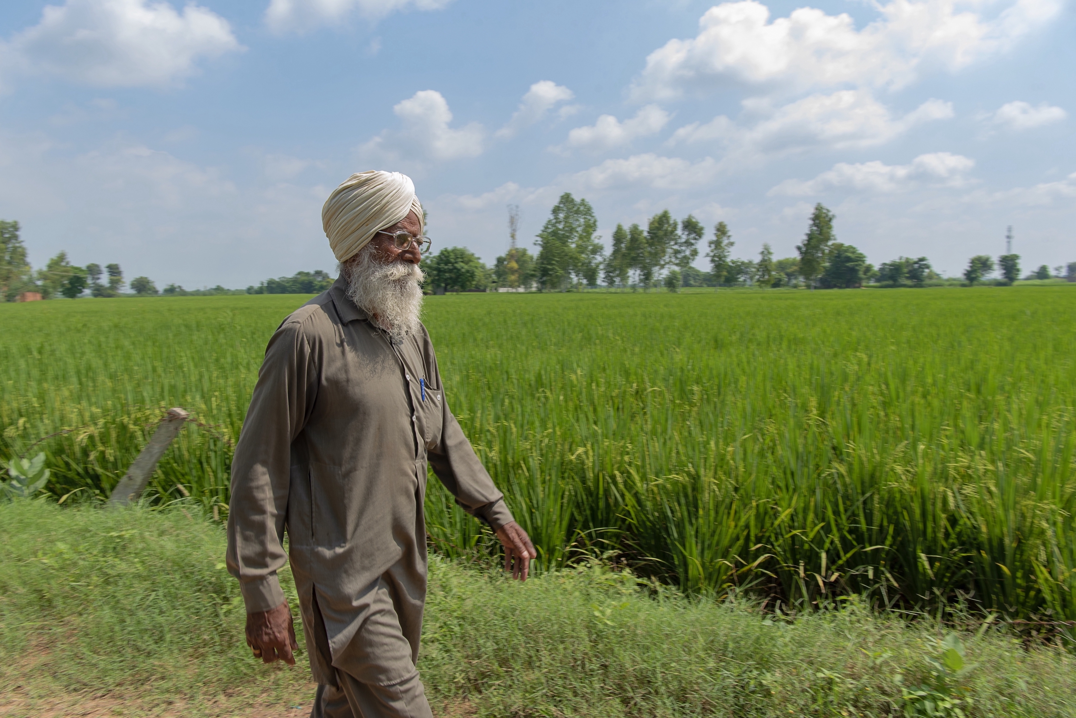 Amar Singh walks on his field of wheat, still green and not ready for harvest, in Punjab.