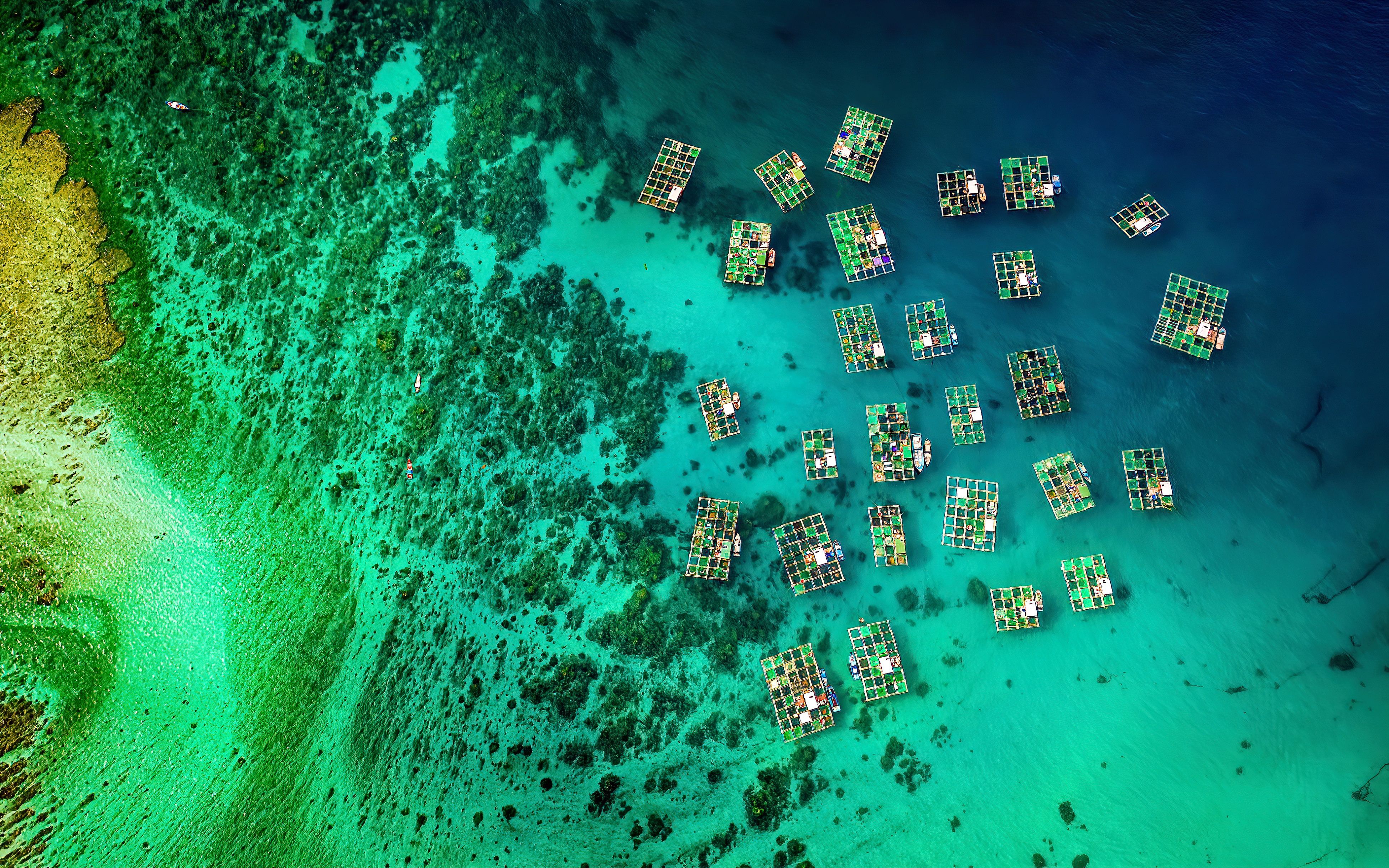 a pulled-back aerial view of a coastline with aquaculture structures in the water