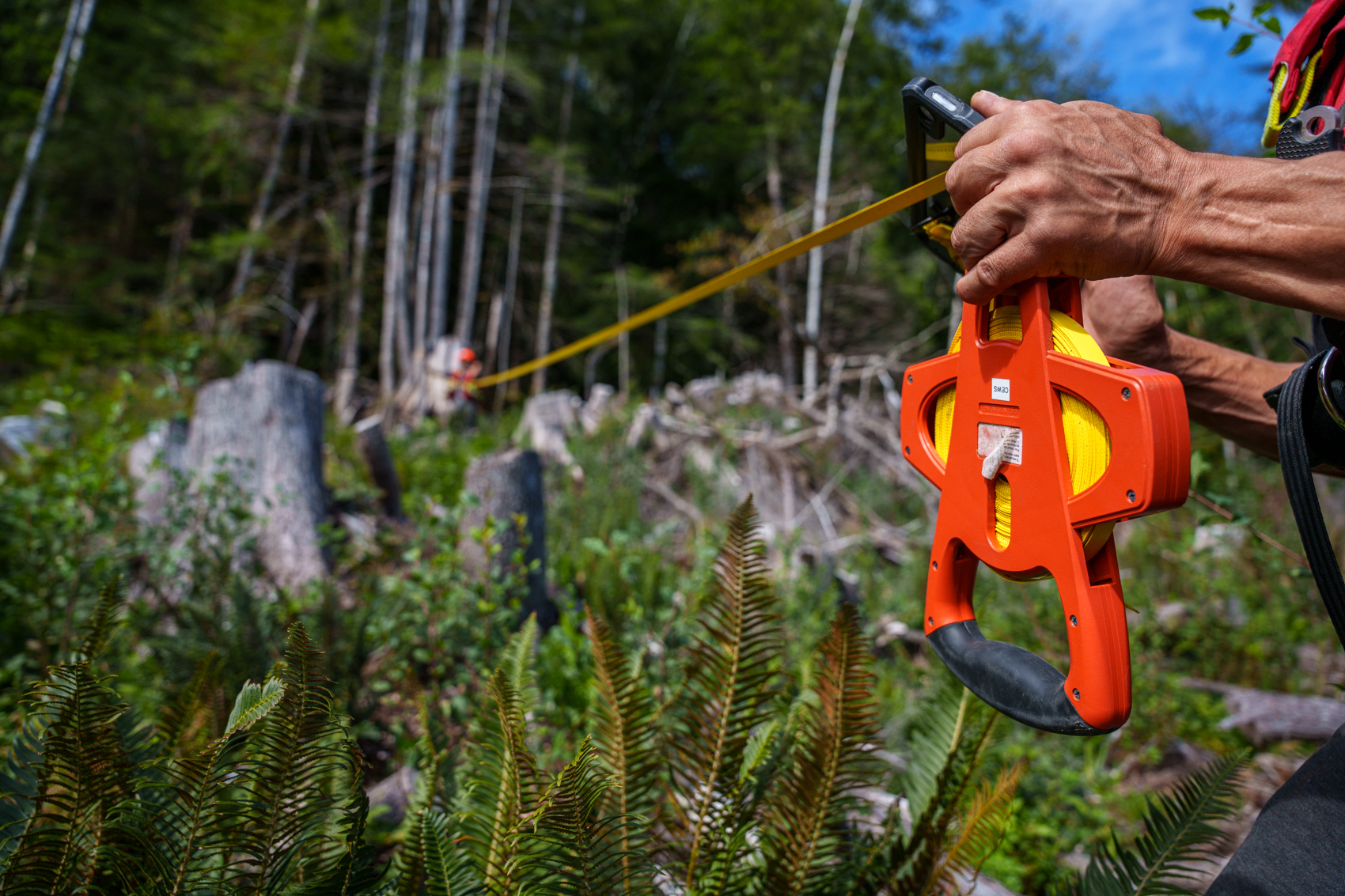 A close up of a person's hands using a tape measure for forest management in Canada.