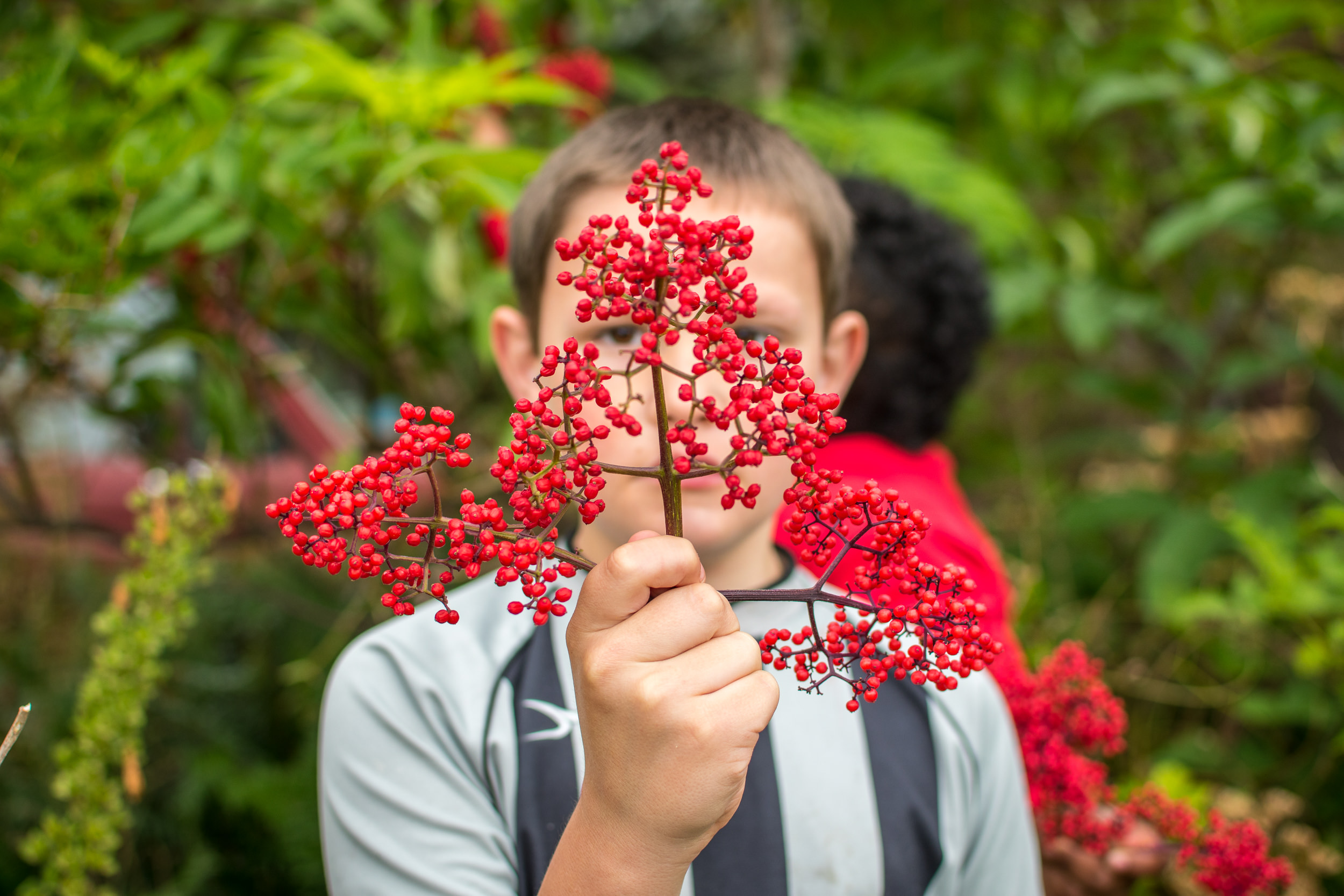 Child holding red elderberry branch in front of their face.