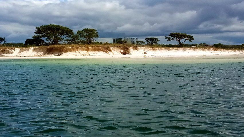 View from the water of a coastline with sandy bluffs eroding down to the beach.