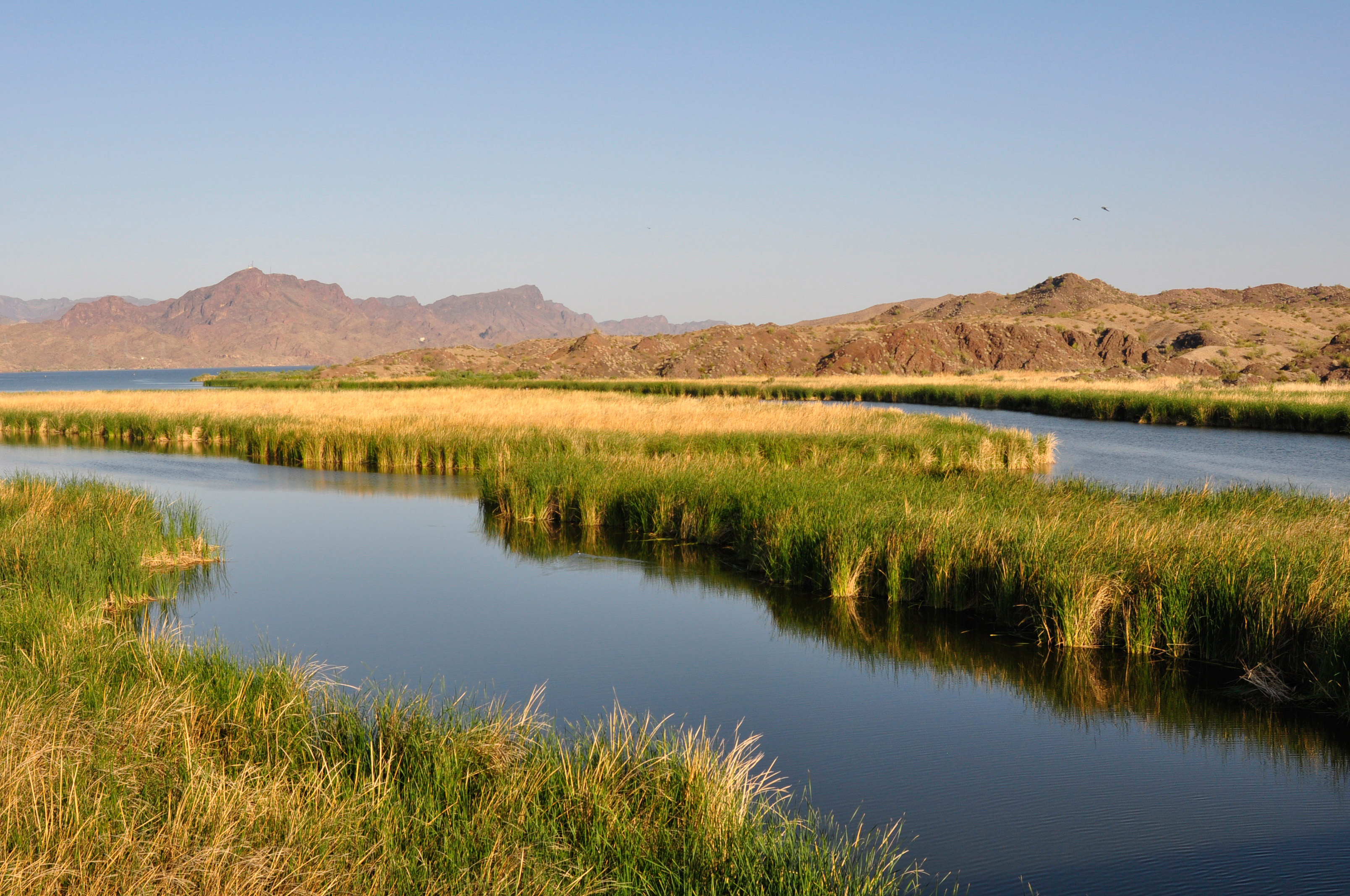 A river with green and gold marsh grasses in the middle of it and reddish-brown mountains in the background.