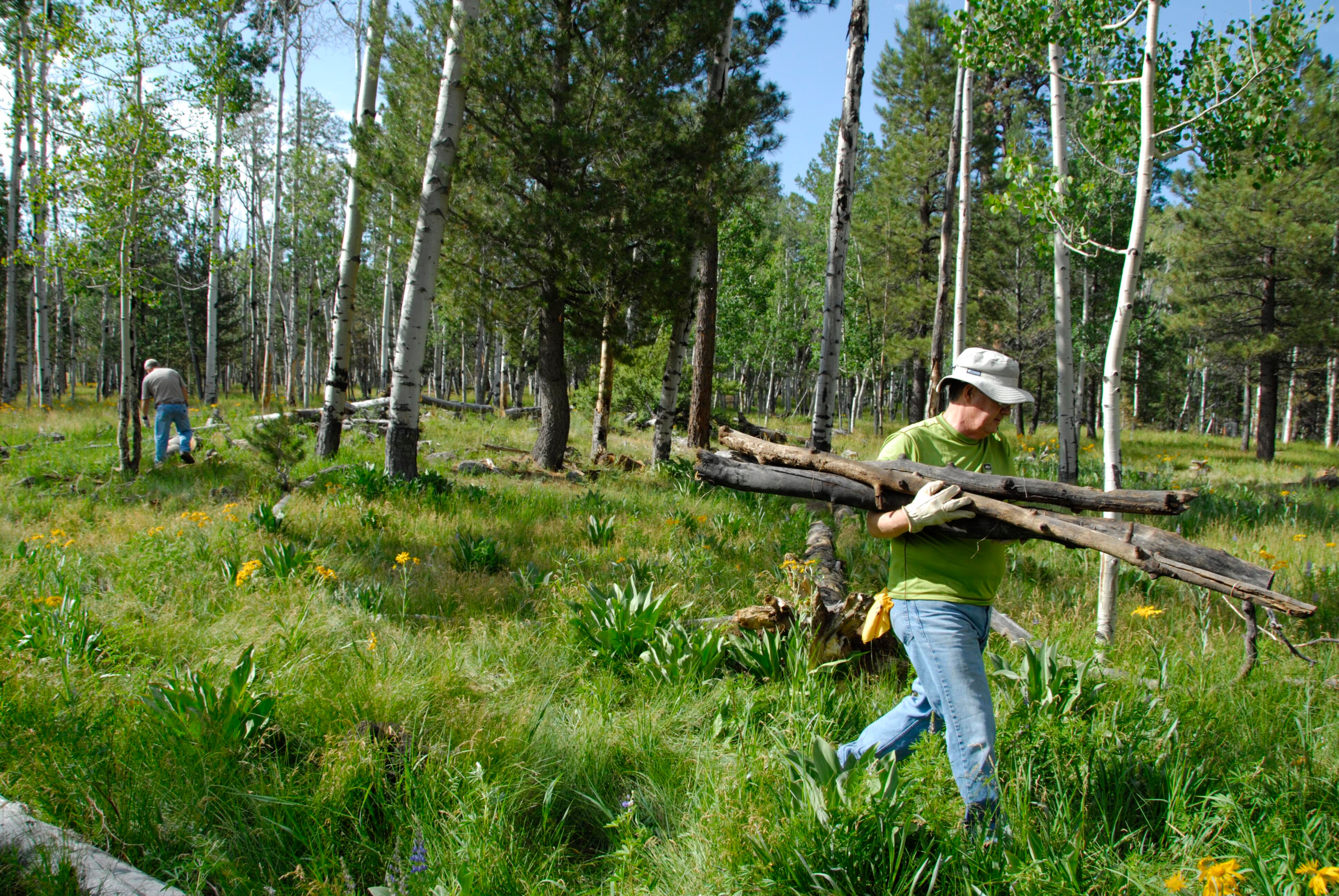 A person wearing a hat and gloves hauls wood at a forest restoration site in Arizona.