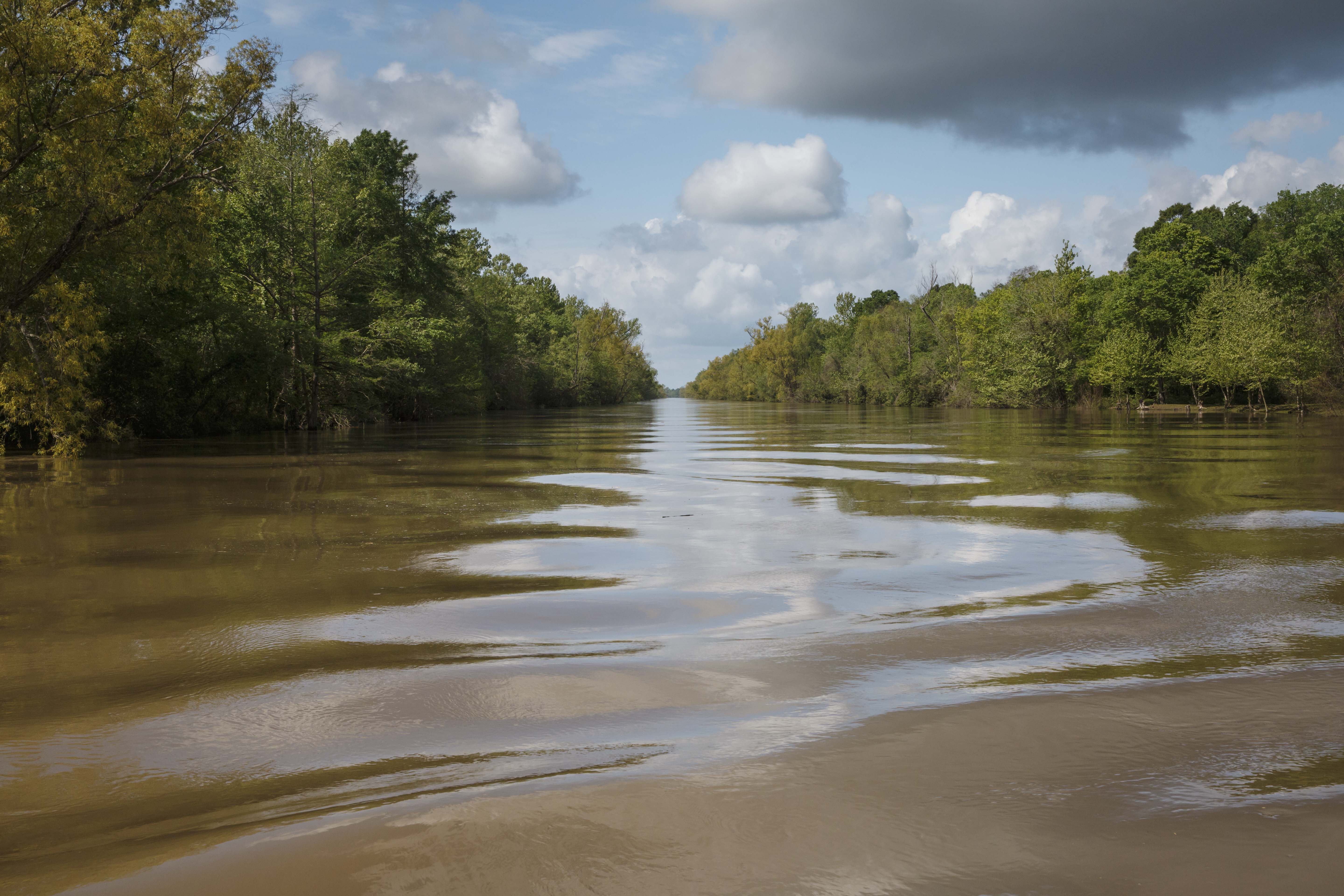 A river from the waterline looking straight up the river with trees bordering the shoreline.