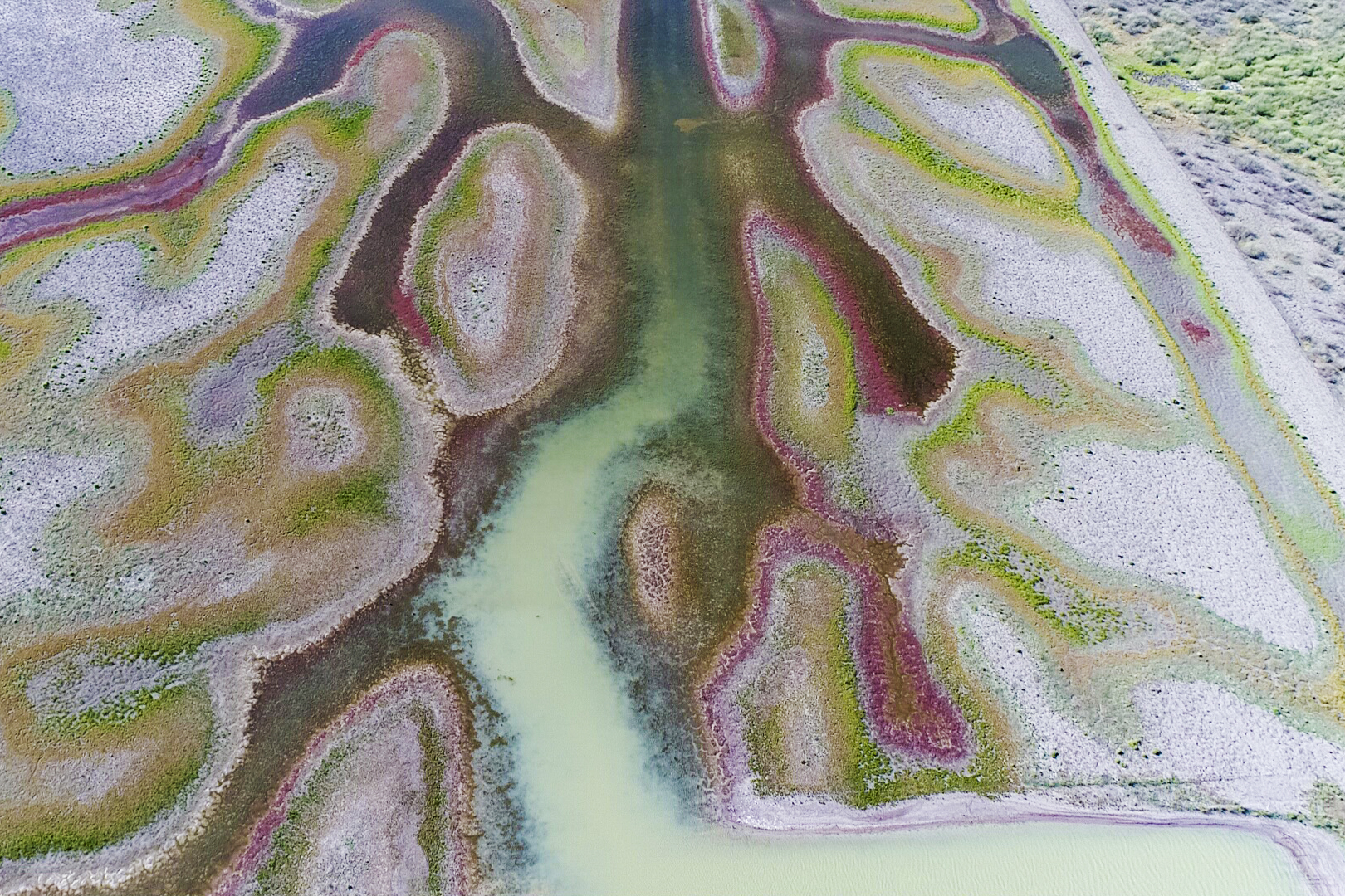 Aerial view of Telephone Bank, Gayini