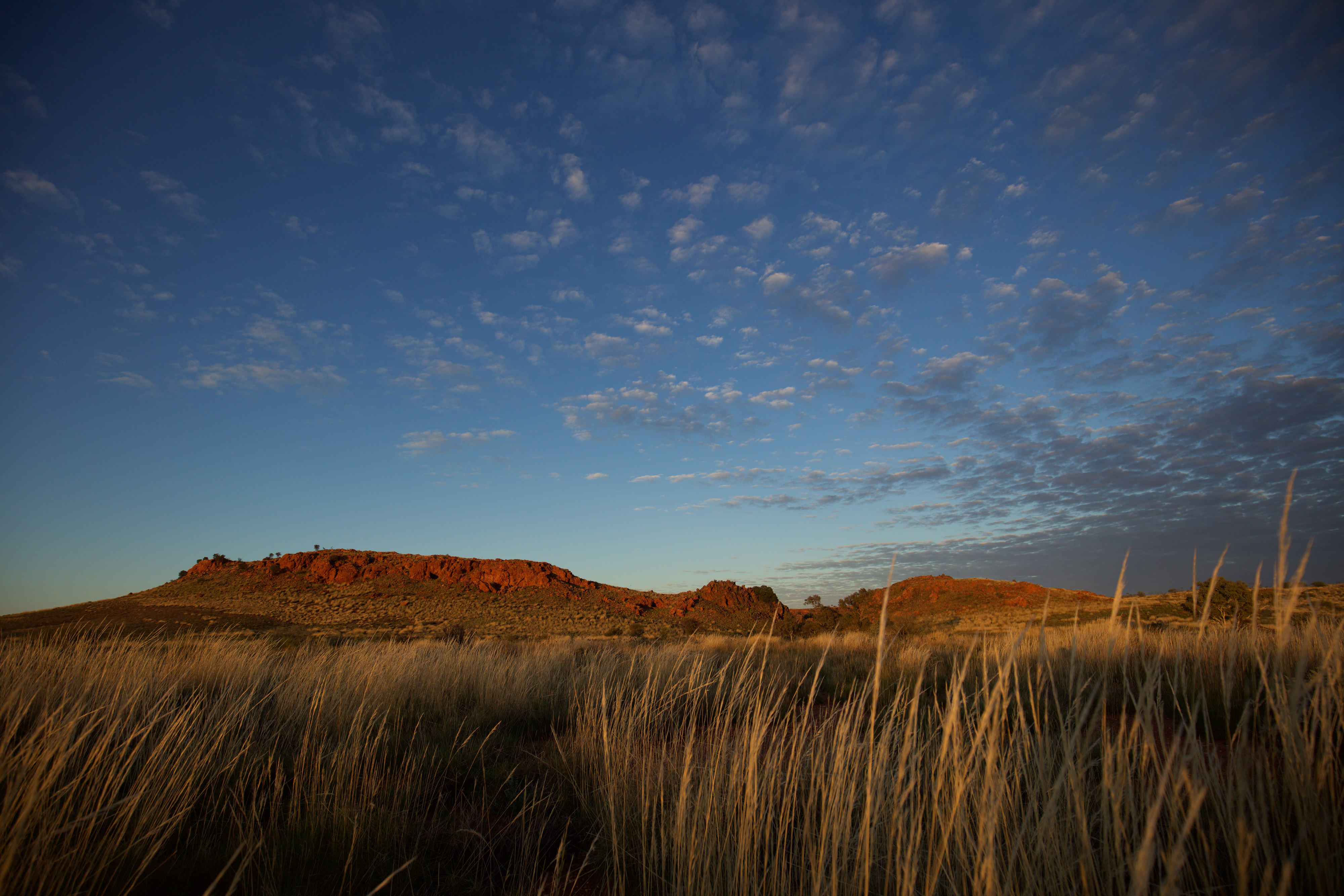 Australia's red mountains as viewed from the grassy plains.