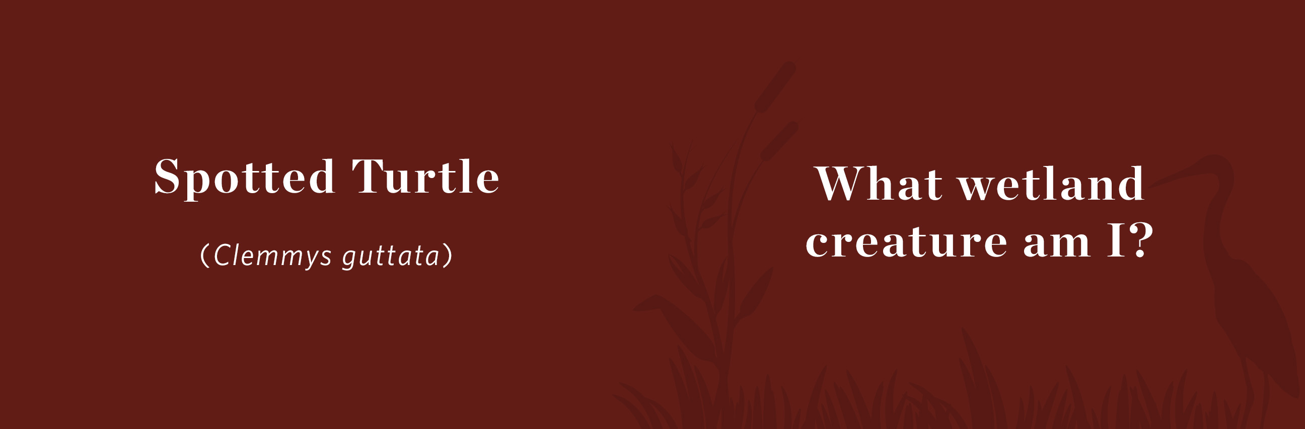 A spotted turtle rests on a fallen limb next to green plants.