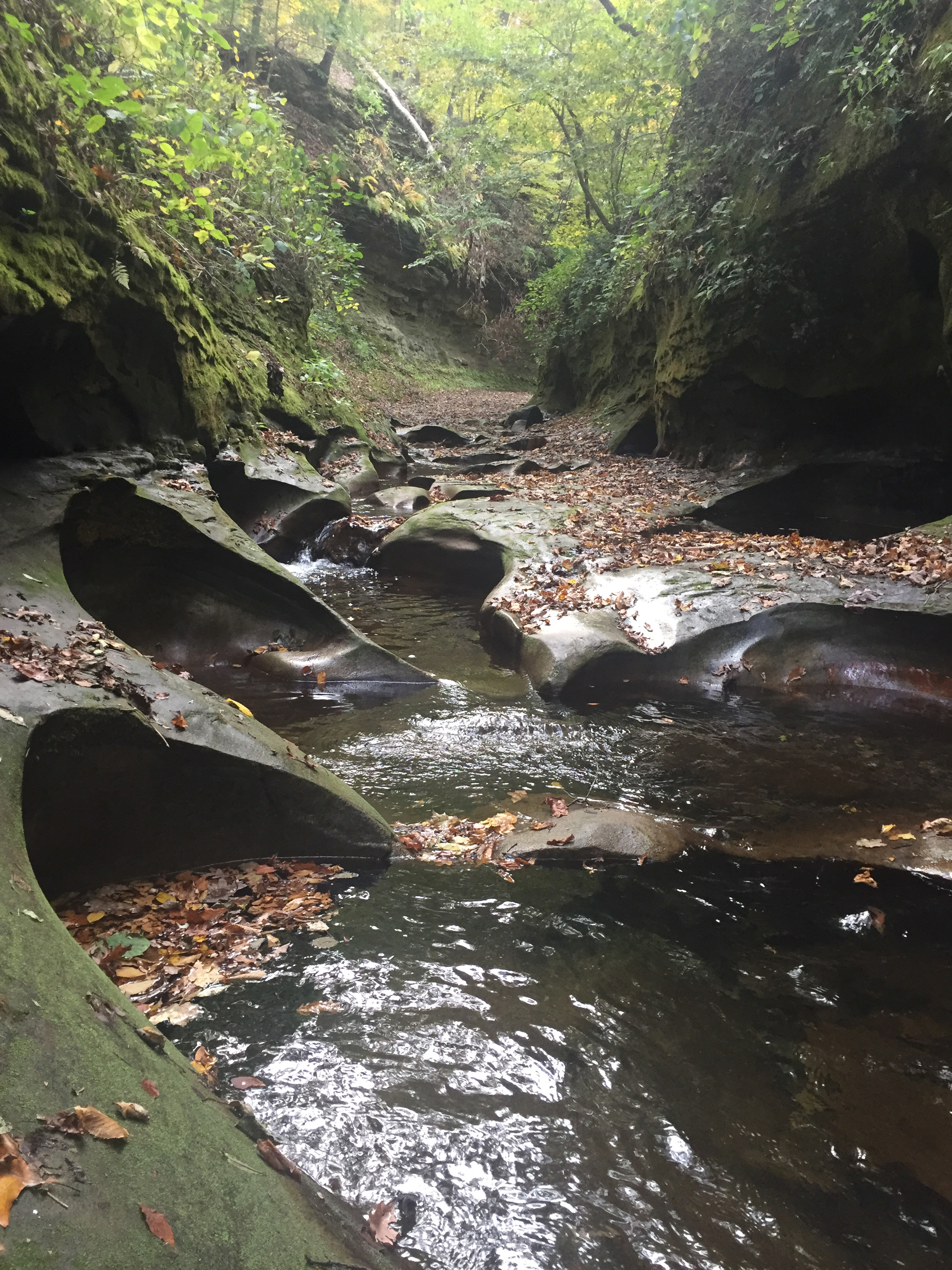 Big Pine Creek runs through wooded rocky terrain.