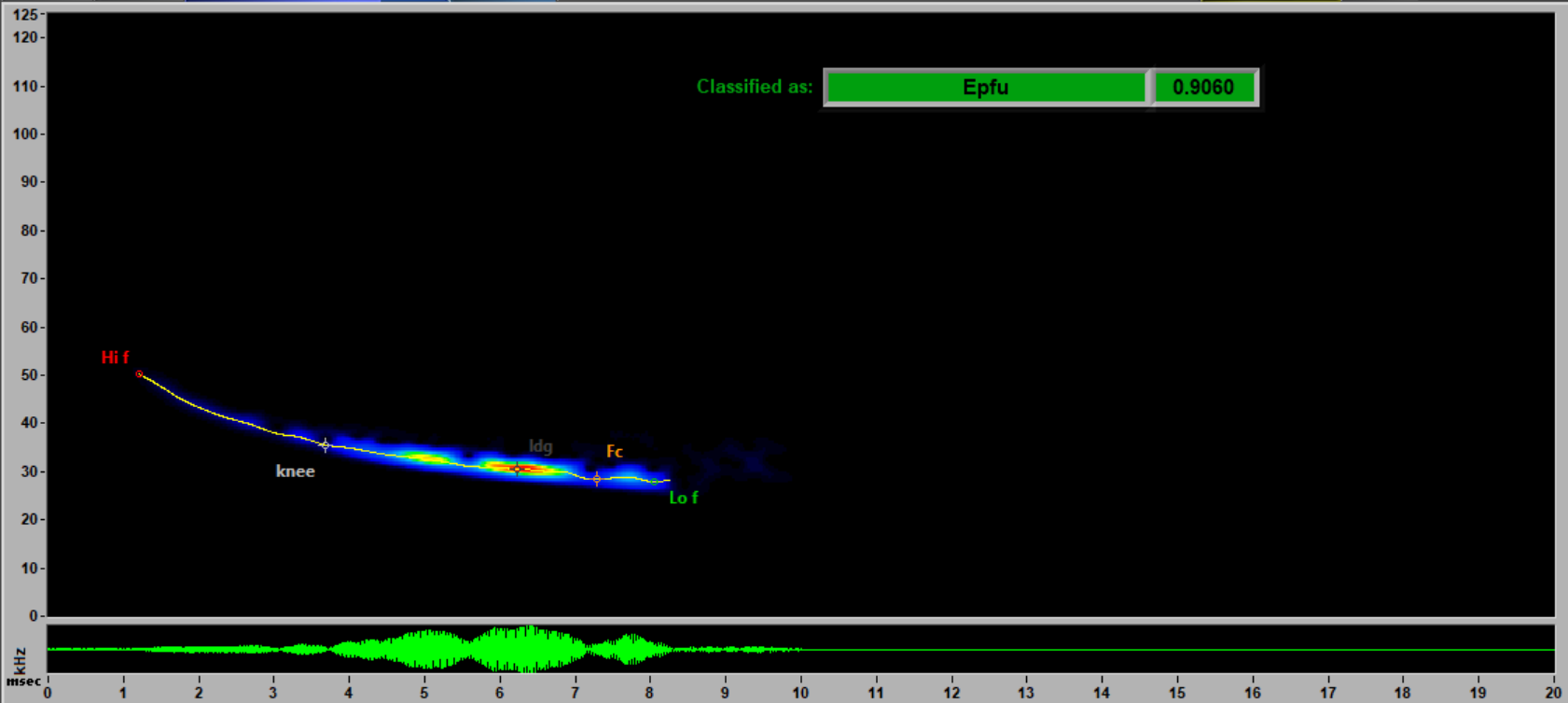 A call image from a big brown bat. It is a blue streak on a black background.