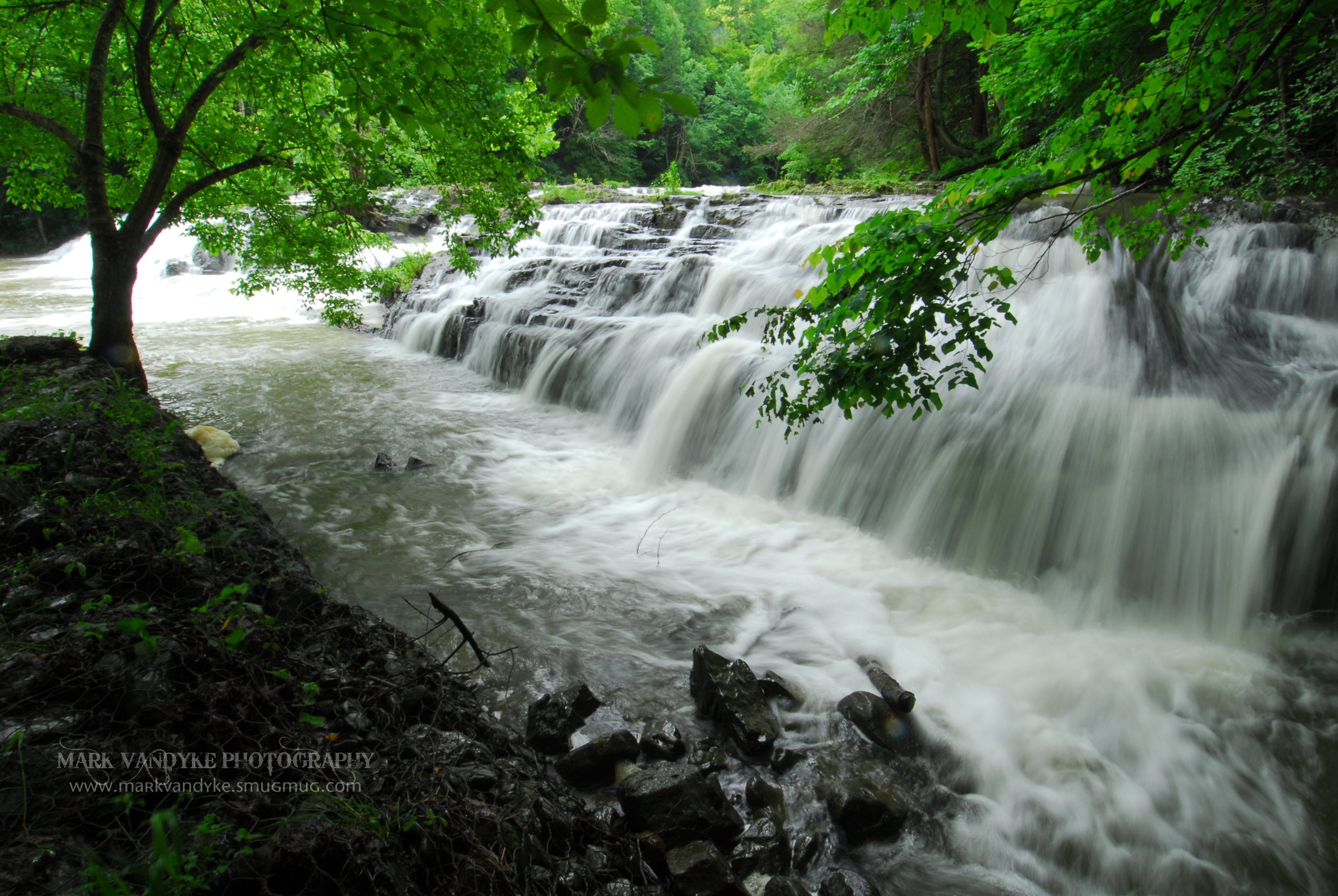White water rushes over a series of low falls, pooling and swirling around rocks in the river bed. 