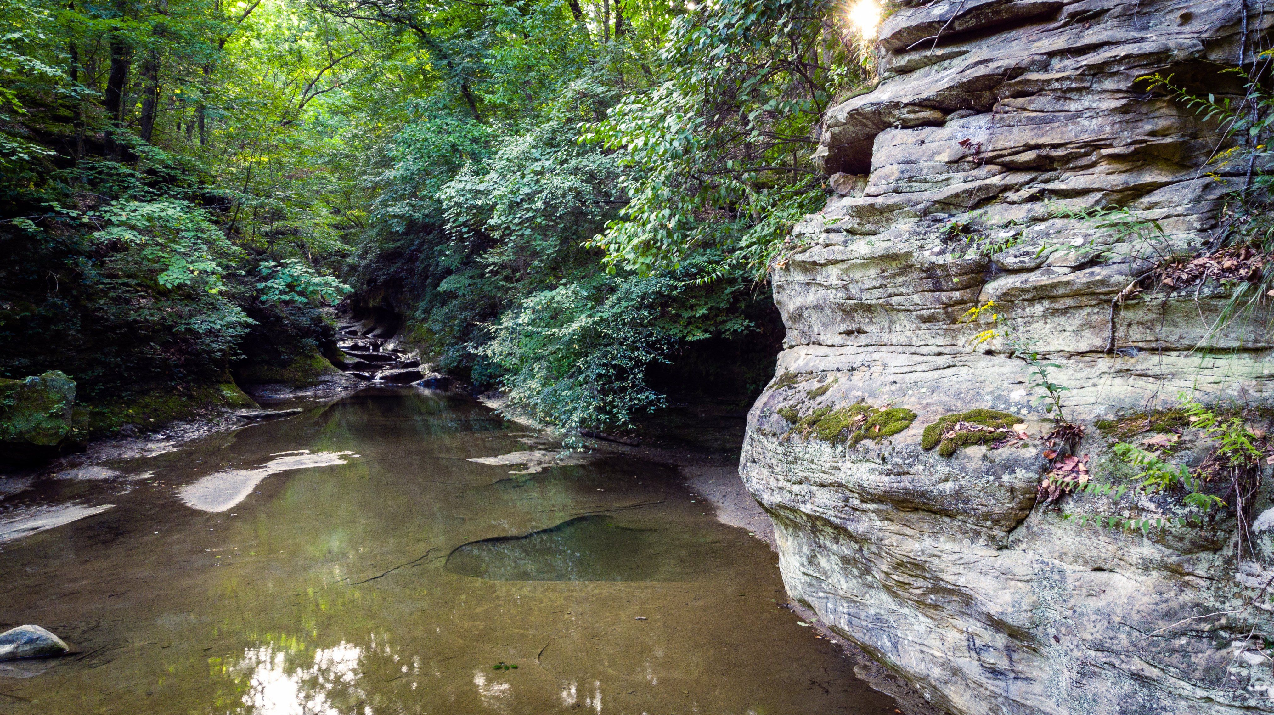 Shallow creek runs through rock formations in green forest.