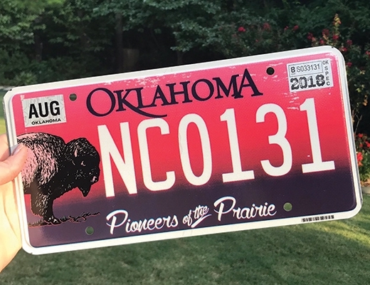 Speciality bison-themed license plate.