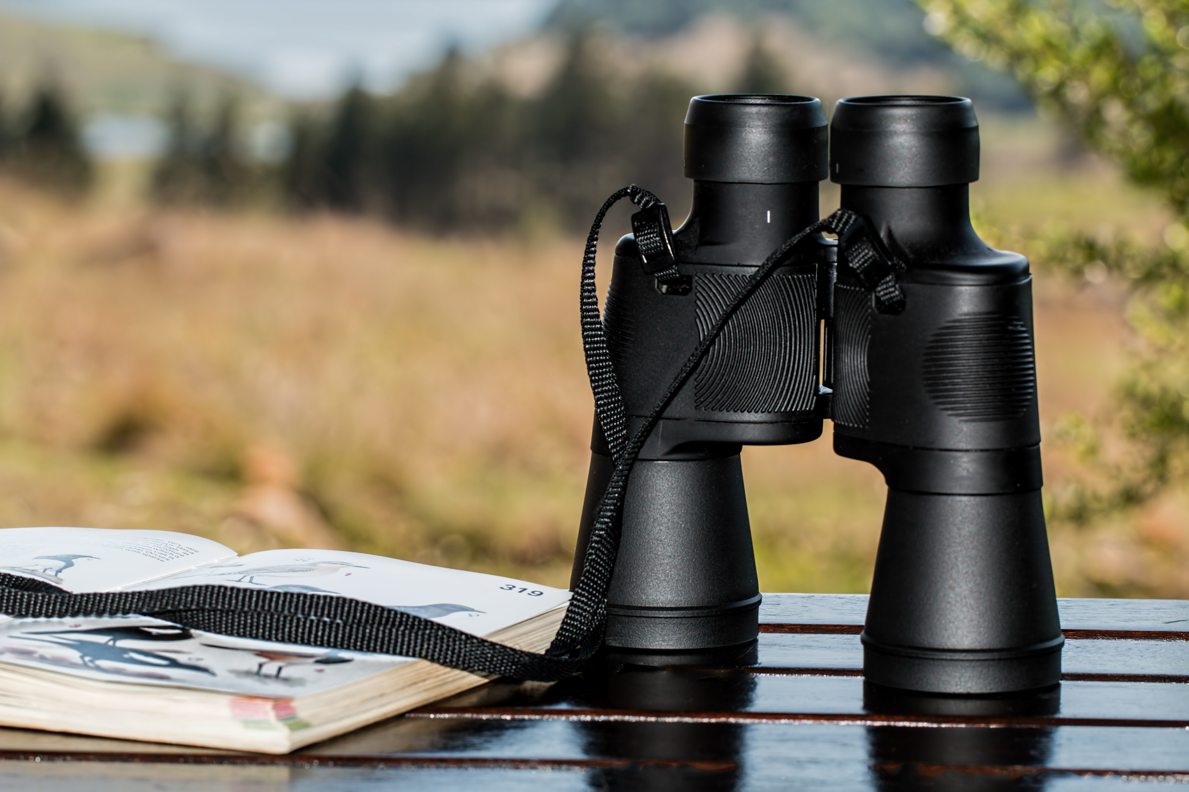 A book and binoculars on a table with mountain scene in distance. 